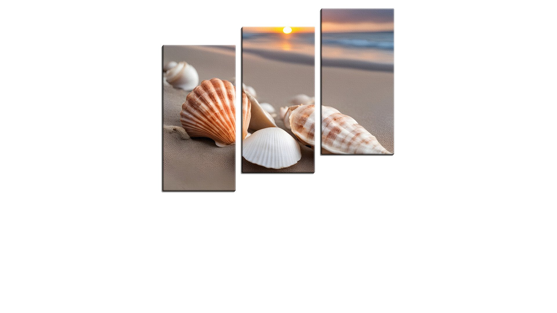 Beach with some Shells