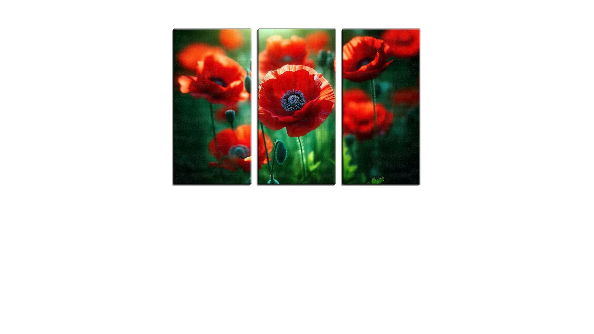 Cluster of Poppies