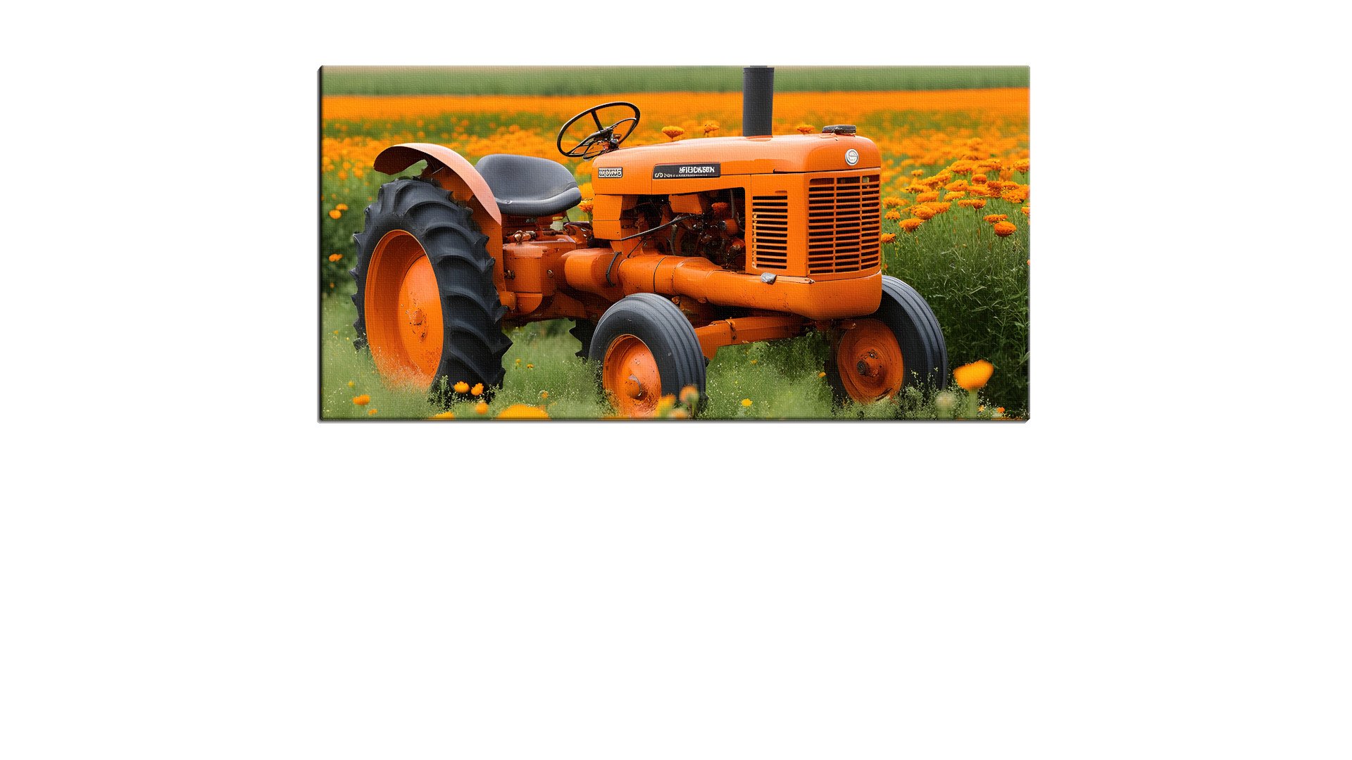 Tractor in a field of Orange Flowers