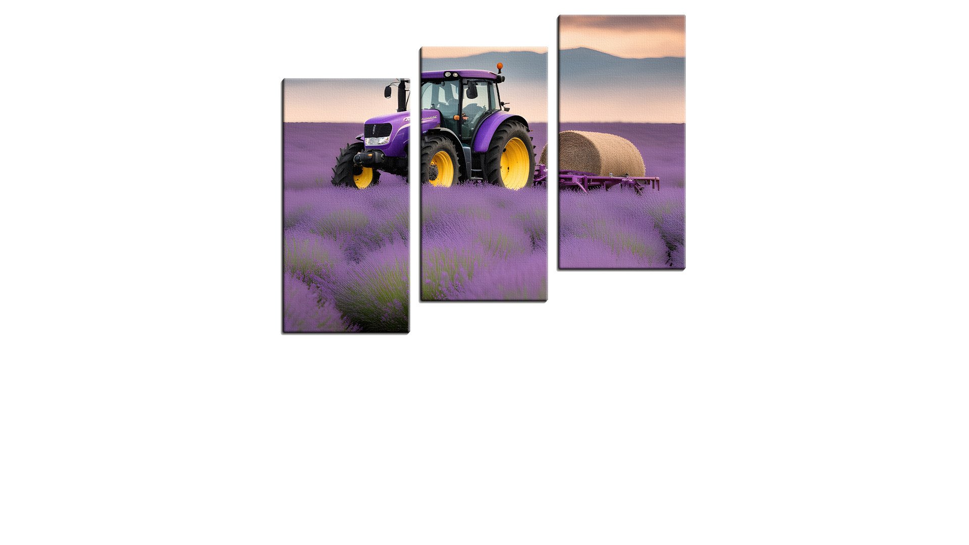 Purple Tractor in a field of Lavender