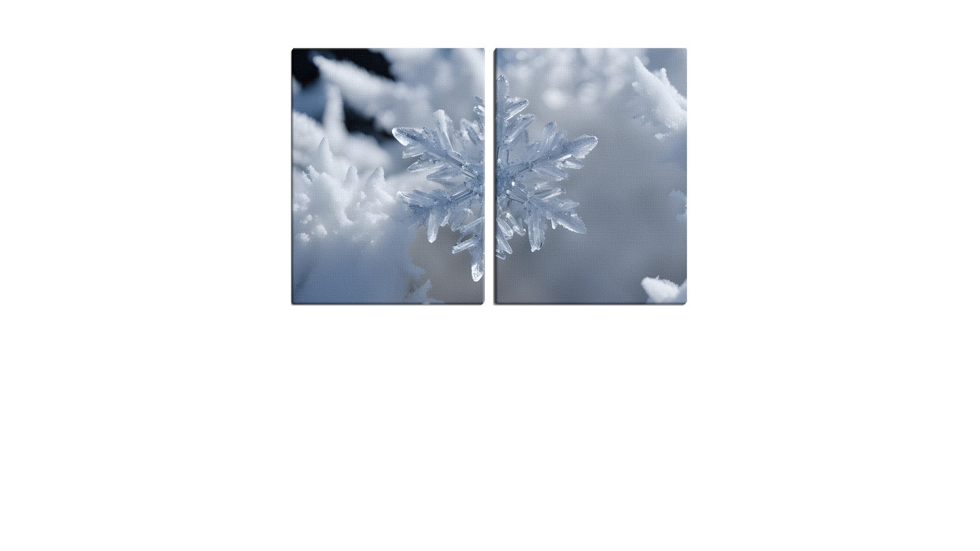 Single Crystalline Snow Flake