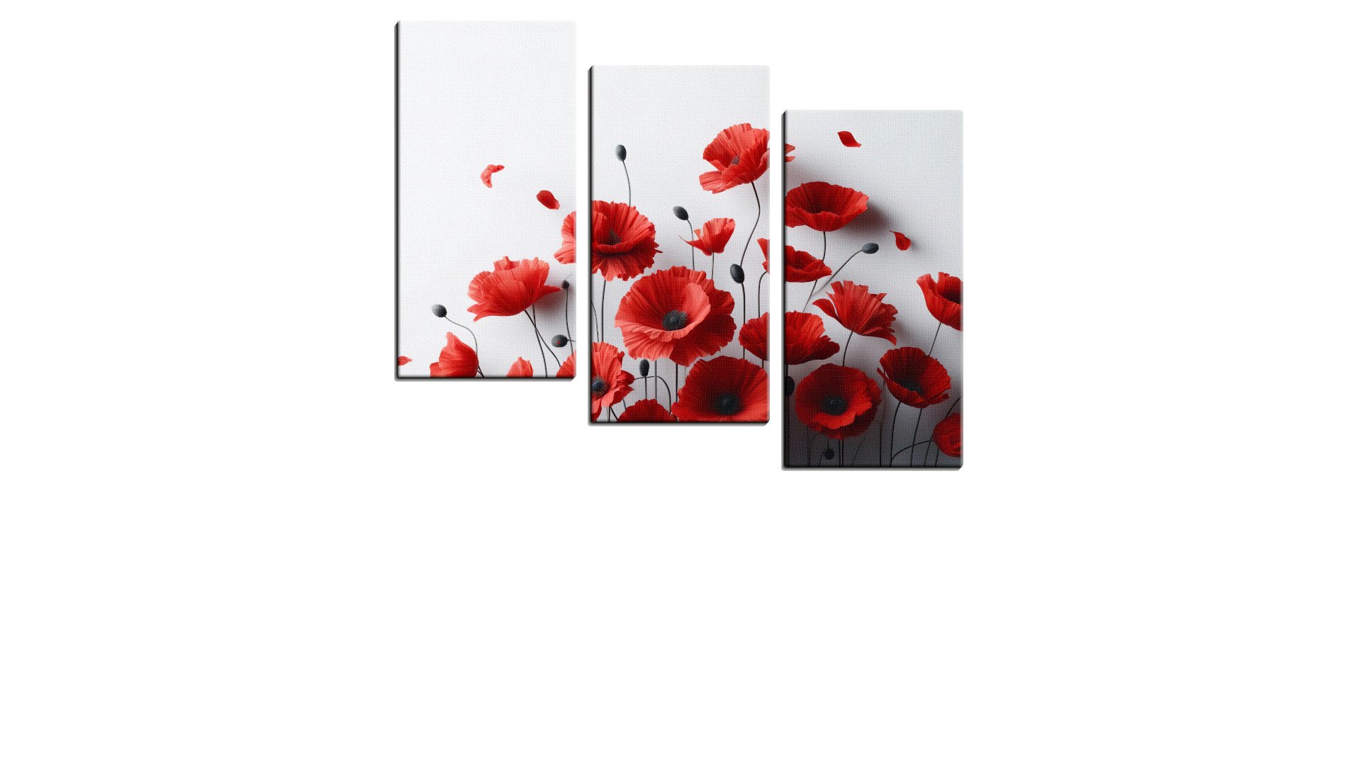 Smatter of Poppies on a White Background