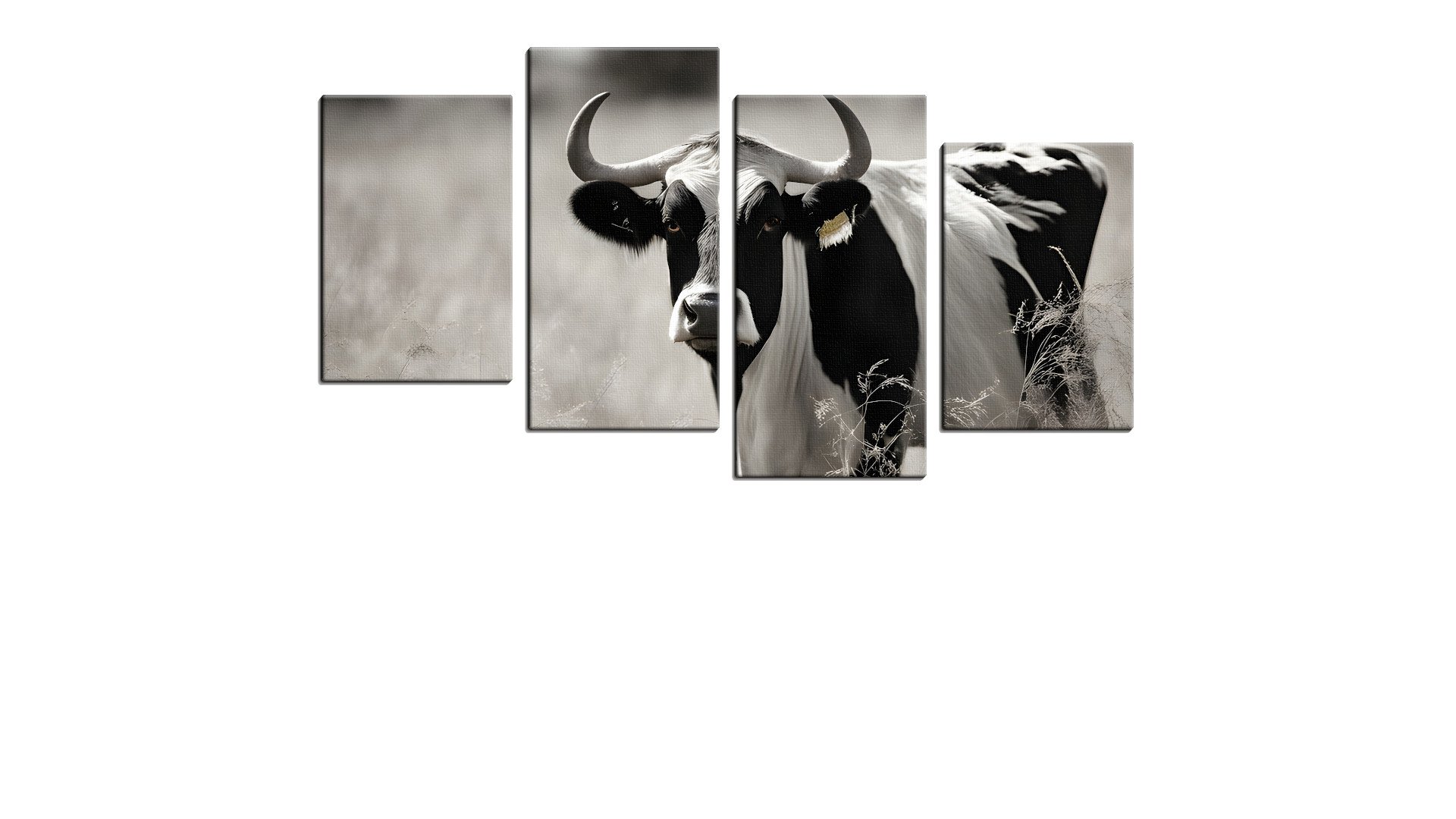 Curious Milk Cow