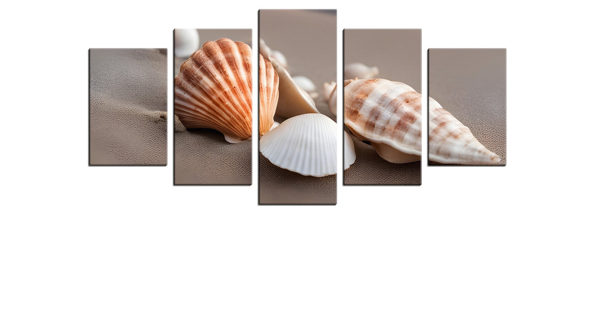 Beach with some Shells