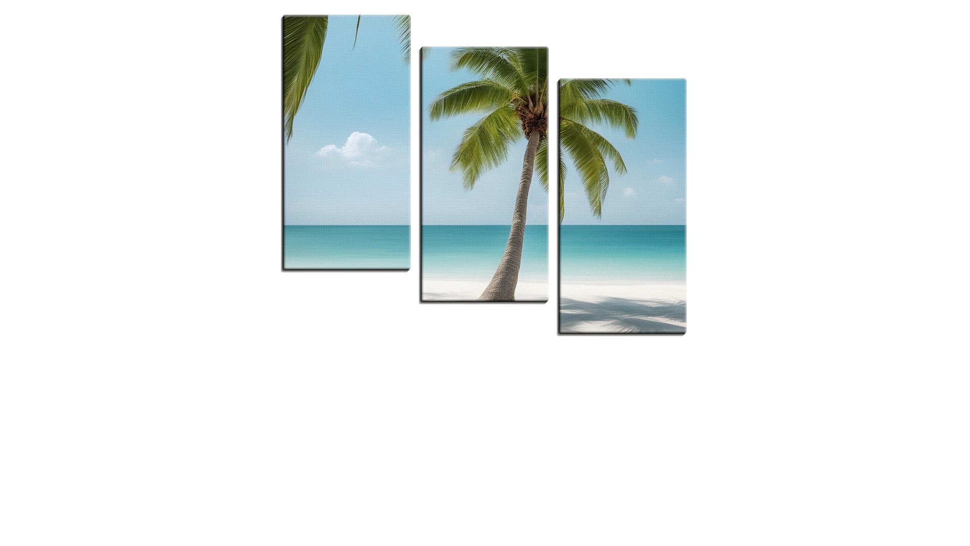 Lone Palm Tree on a White Sandy Beach