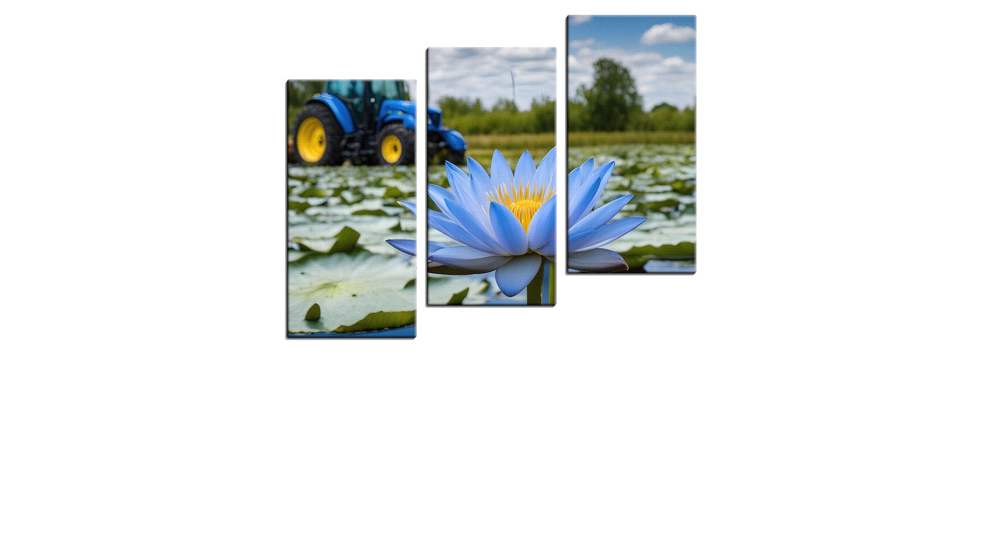 Tractor in a swamp of Blue Flowers
