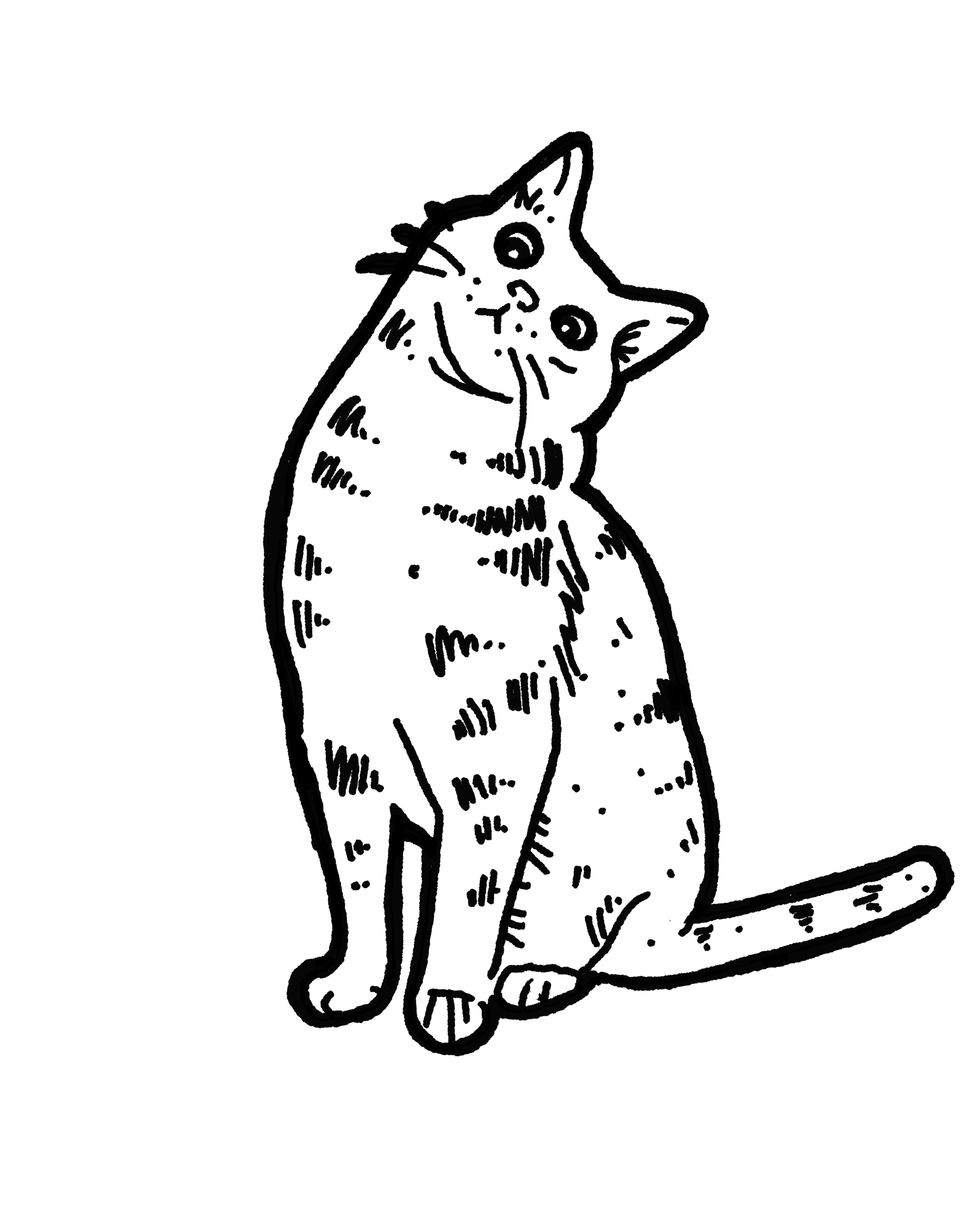 Untitled_Artwork 12.png