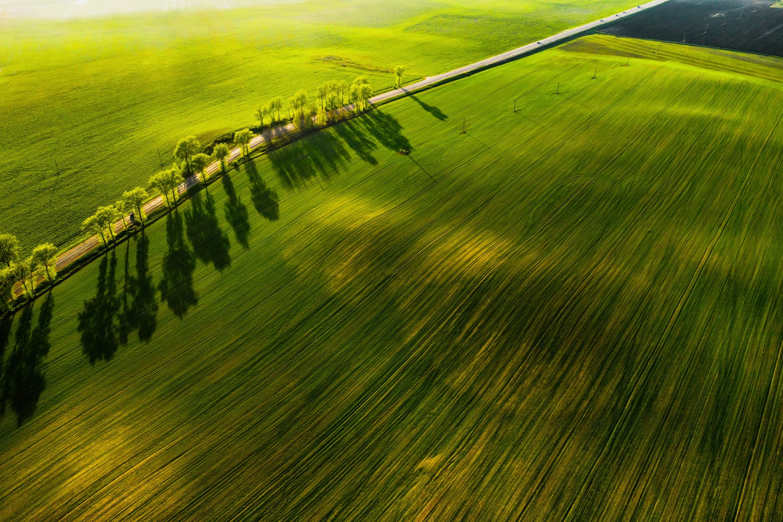 YA - Career Exploration