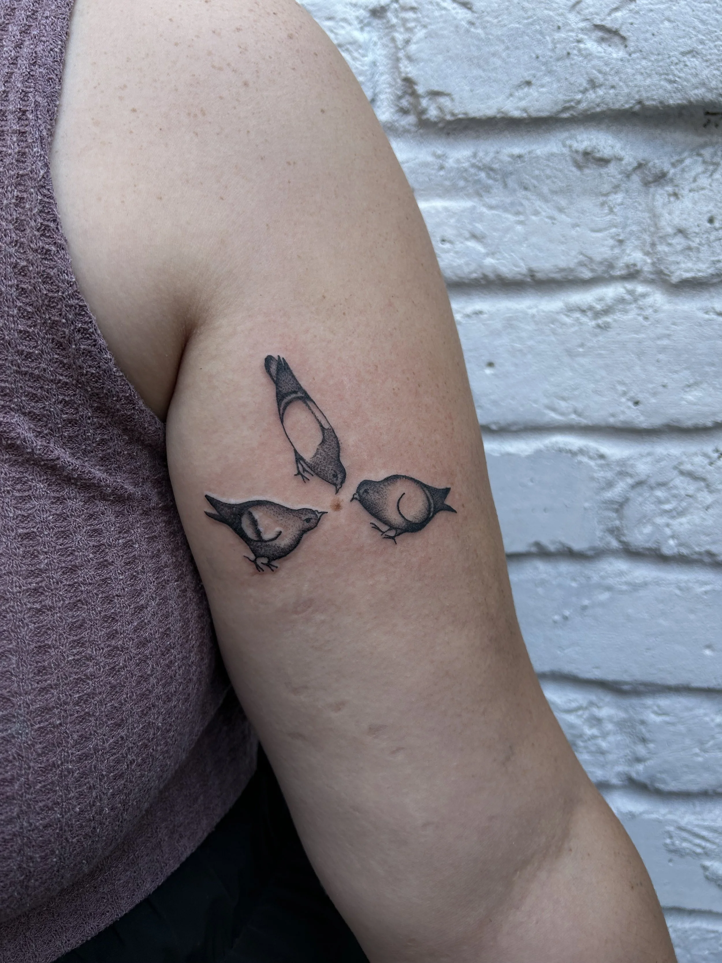 Tattoo of three birds on upper arm, showing one bird flying downwards, and two birds sitting facing each other, against a white brick wall background.