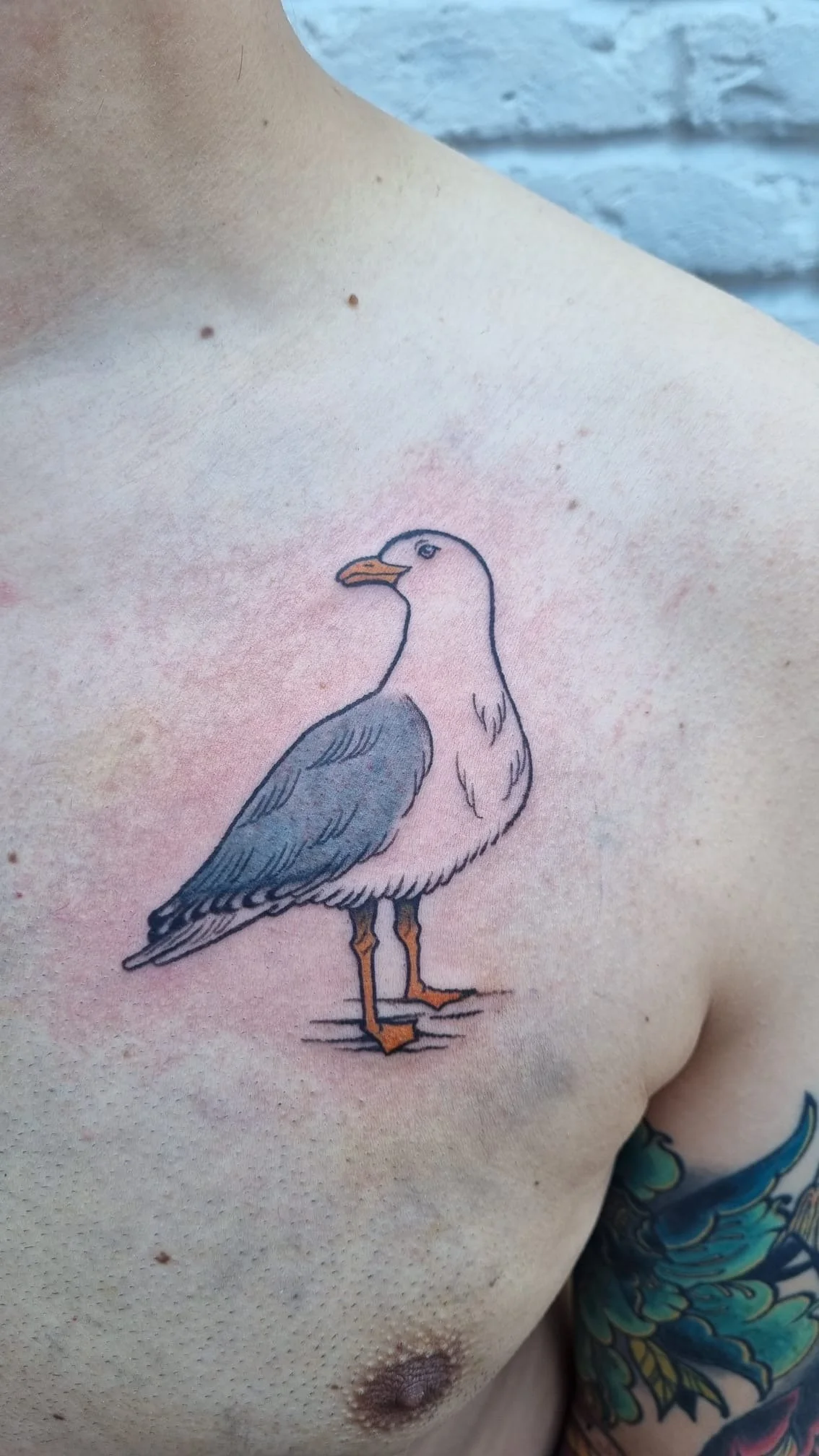 Tattoo of a bird resembling a seagull on person's chest near shoulder, with a tattoo of ocean waves on their arm.
