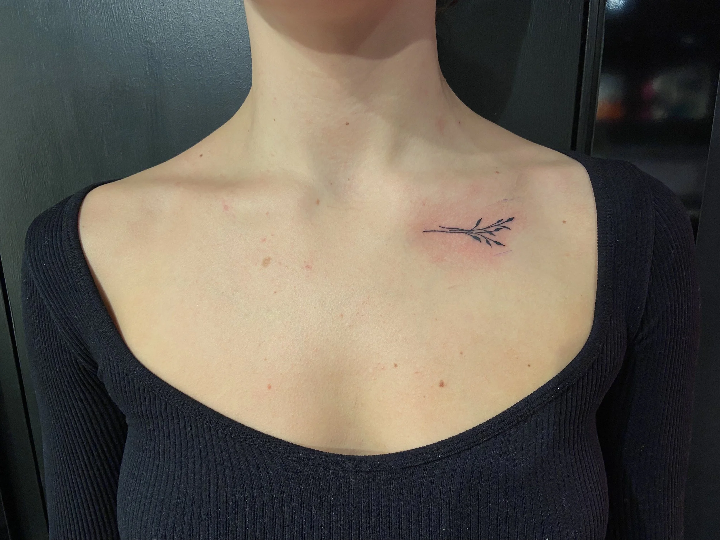 A person with pale skin showing a newly done tattoo of a simple black branch with leaves on the upper left chest near the shoulder.