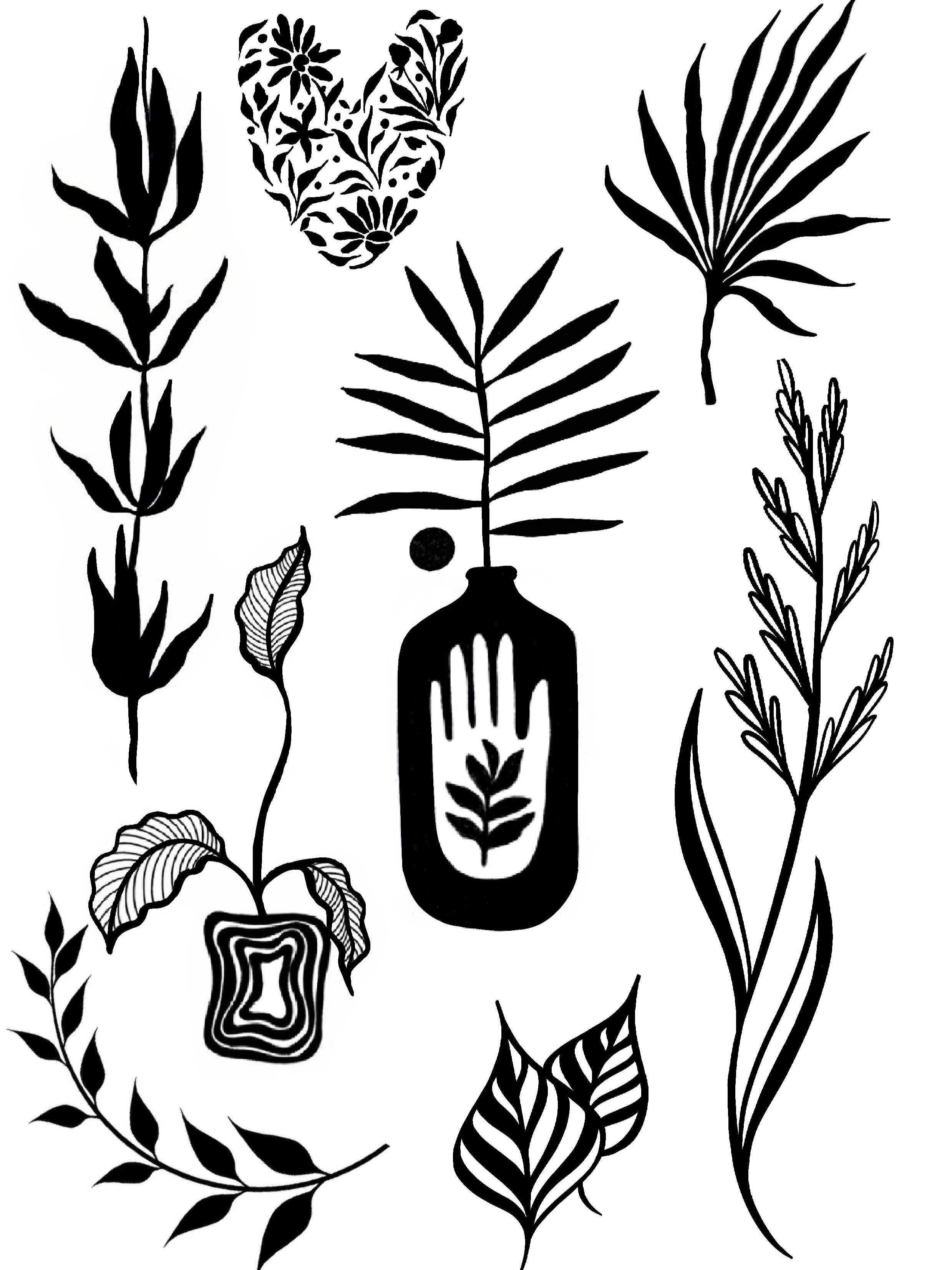 Black and white botanical illustrations of various leaves and plants, including a cloud-shaped arrangement of flowers, a bottle with a plant inside, and a hand symbol with a plant inside.