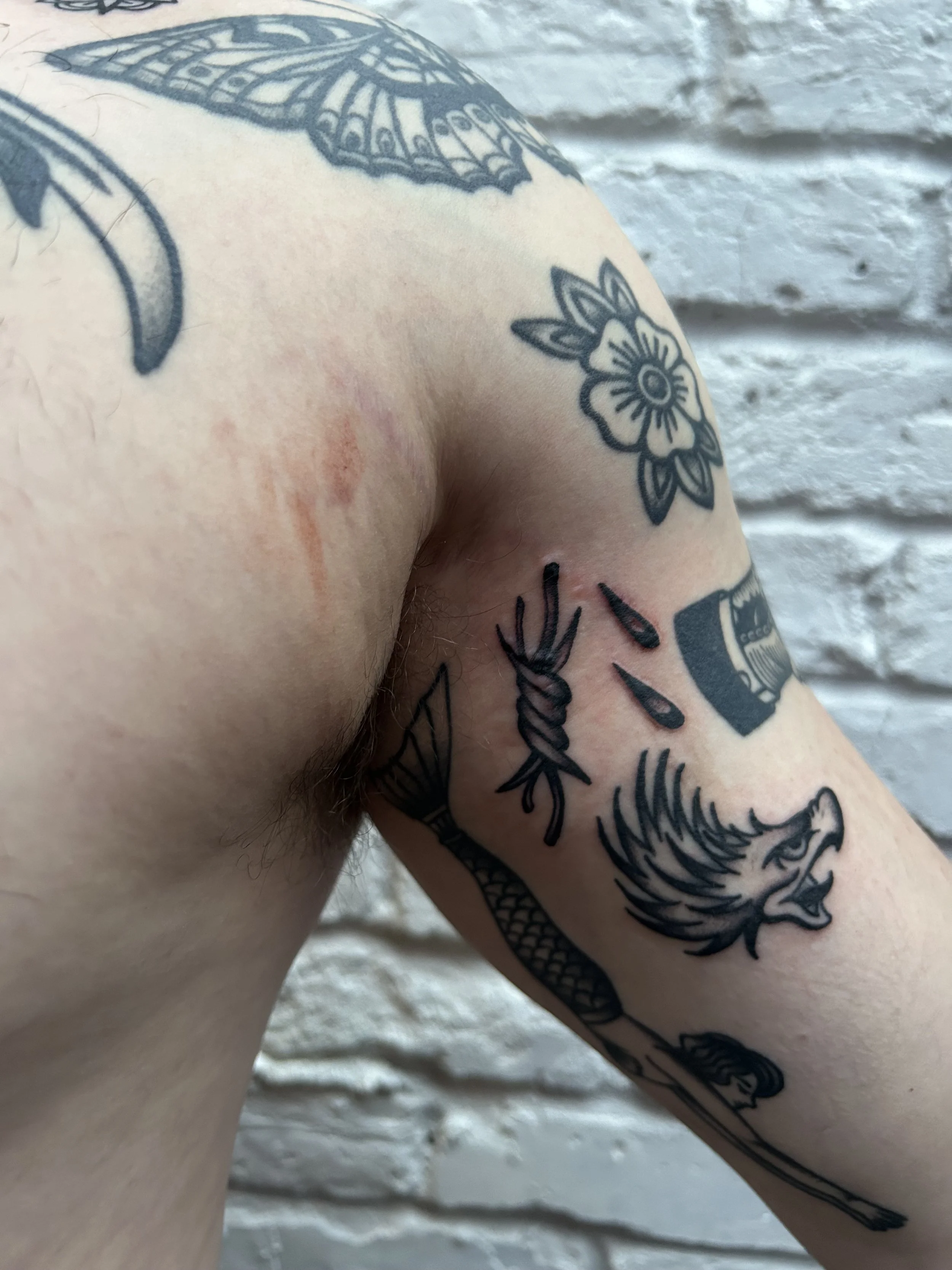 Close-up view of a person's upper arm and shoulder with multiple tattoos, including a wolf's head, a flower, a hand with a knot, a batarang, a glass with liquid drops, and a butterfly, against a white brick wall background.
