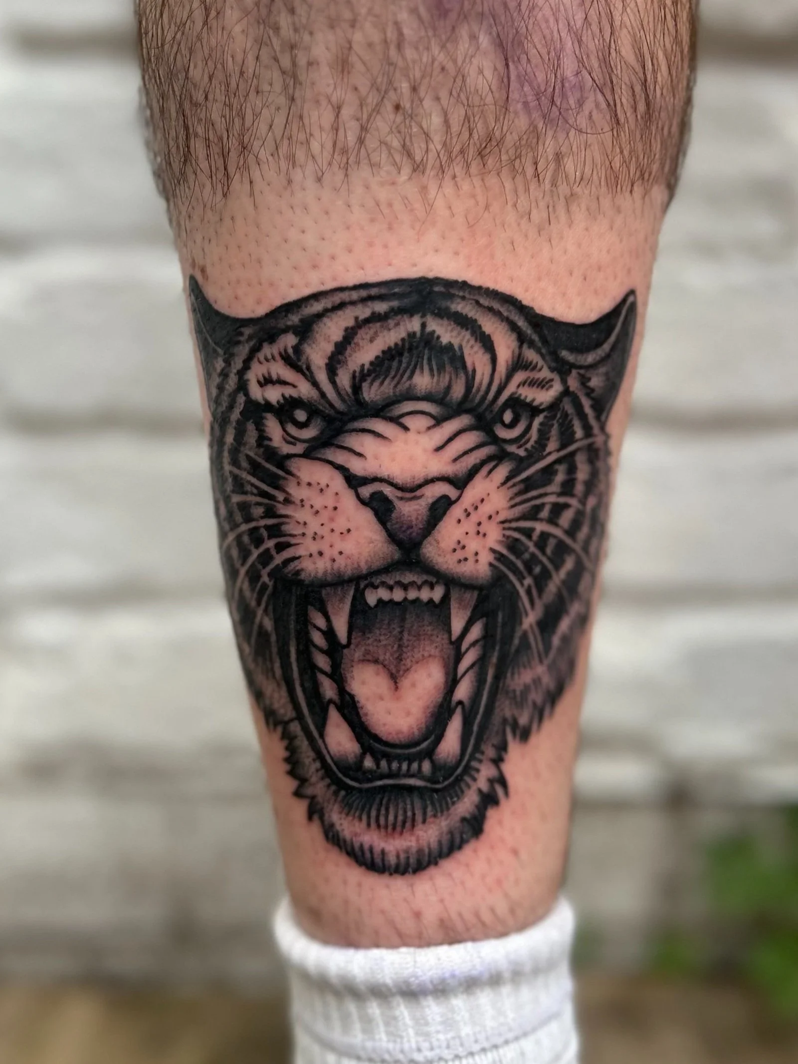 Black ink tattoo of a roaring tiger's face on a person's lower leg, showing detailed fur, open mouth, sharp teeth, and fierce expression.