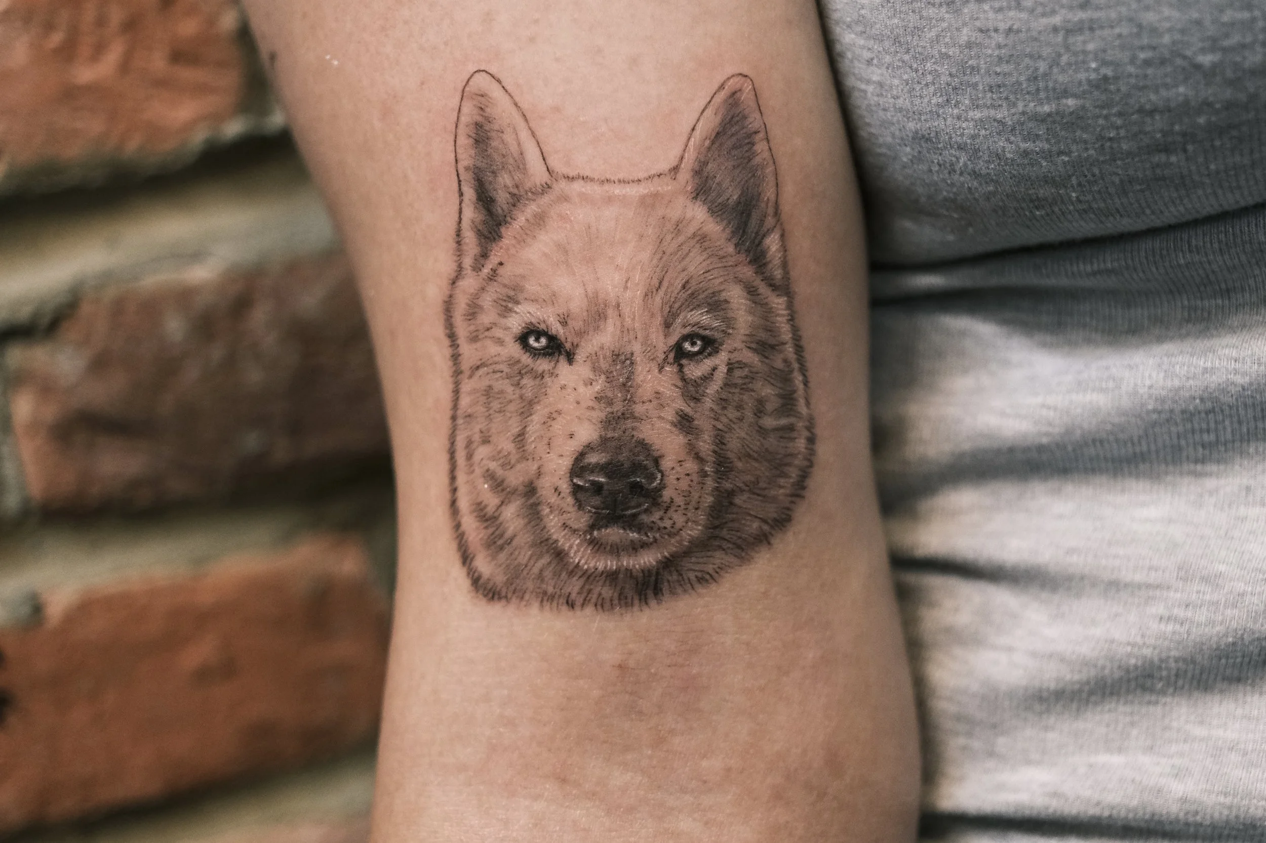 Tattoo of a bird resembling a seagull on person's chest near shoulder, with a tattoo of ocean waves on their arm.