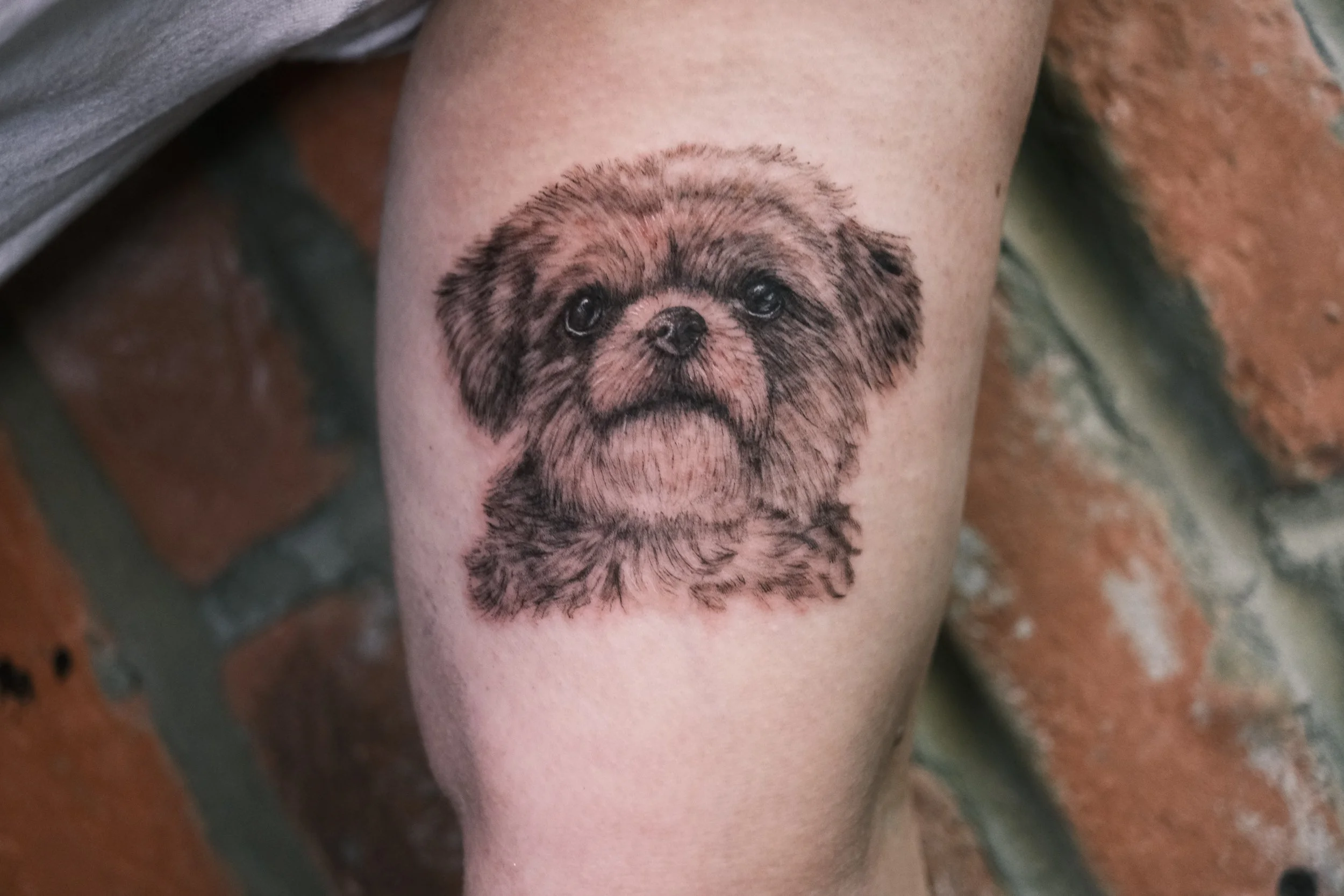 Colorful tattoo of a chameleon holding a paintbrush, wearing jewelry, with a skeleton tail, on a person's leg.