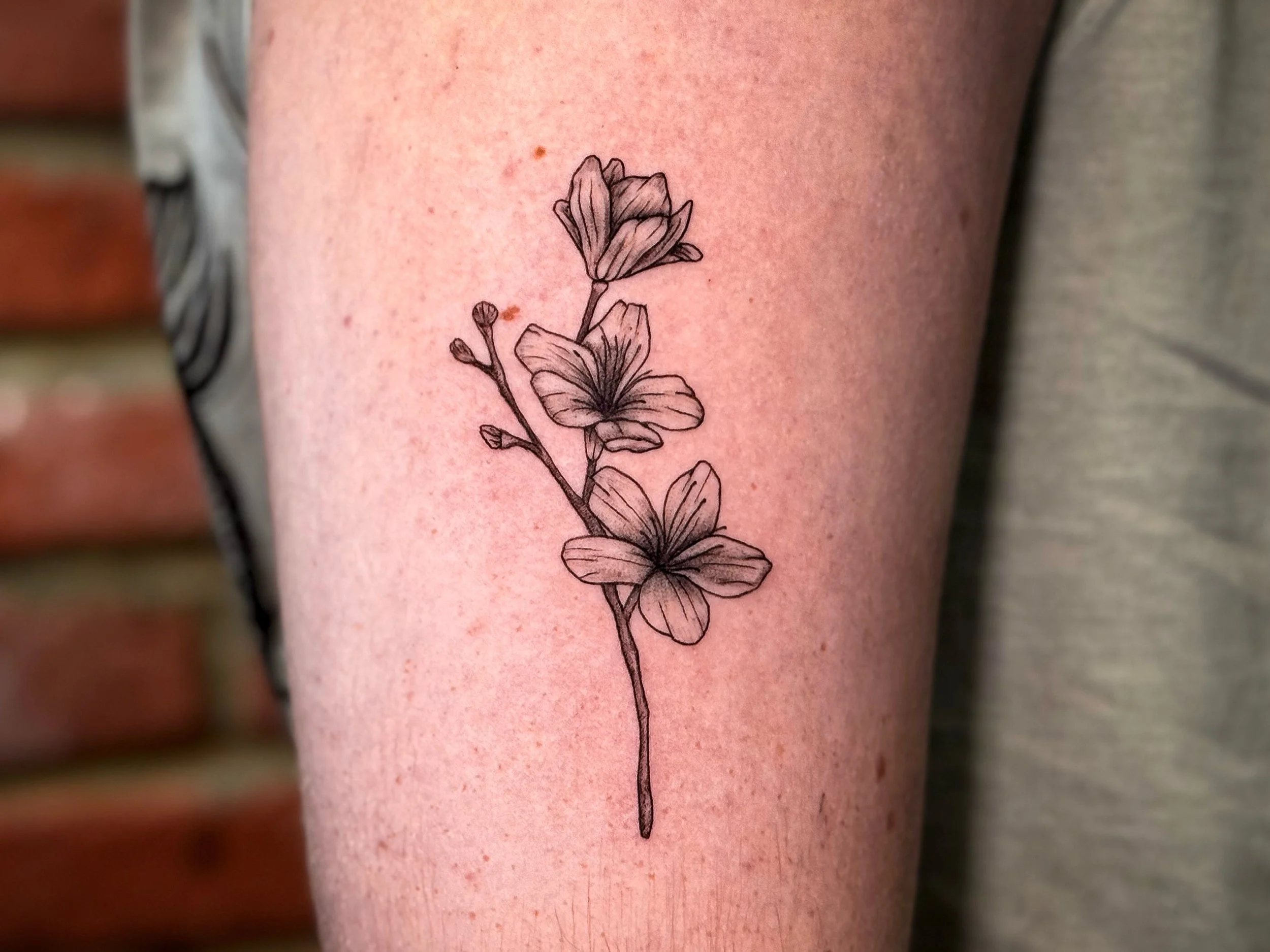 Tattoo of a stylized insect with a fierce face, colorful yellow, red, and black markings, and swirling details on its body