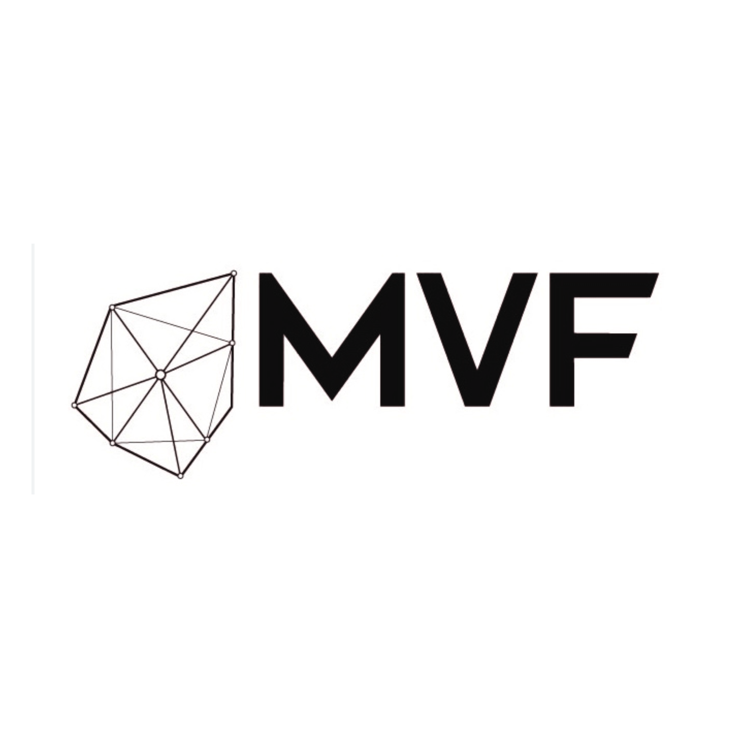 MVF logo with a geometric, wireframe shape to the left of the letters MVF.