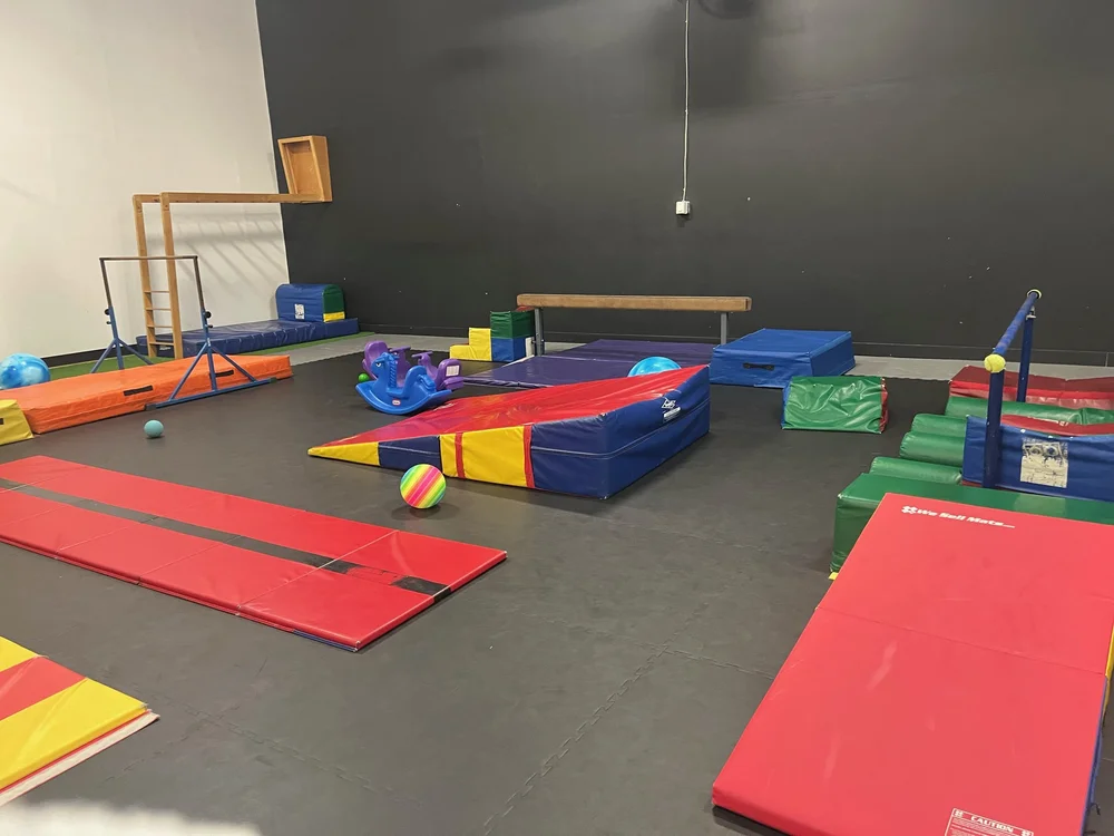 Gym equipment and soft play areas at Gyminee Crickets