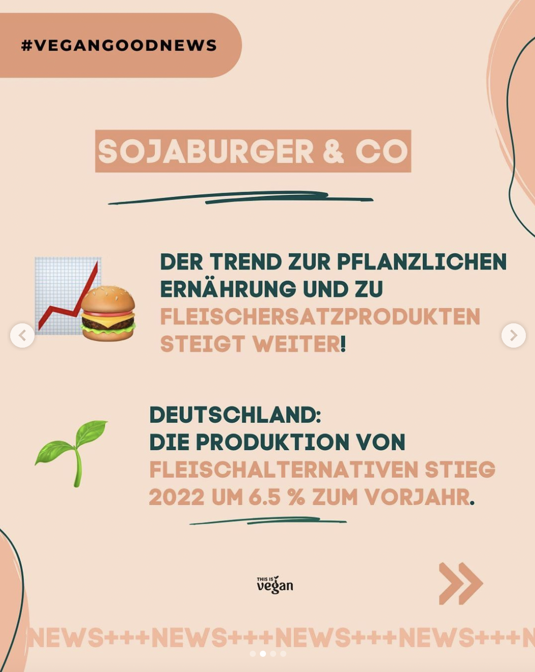 Vegan News Instagram 3.png
