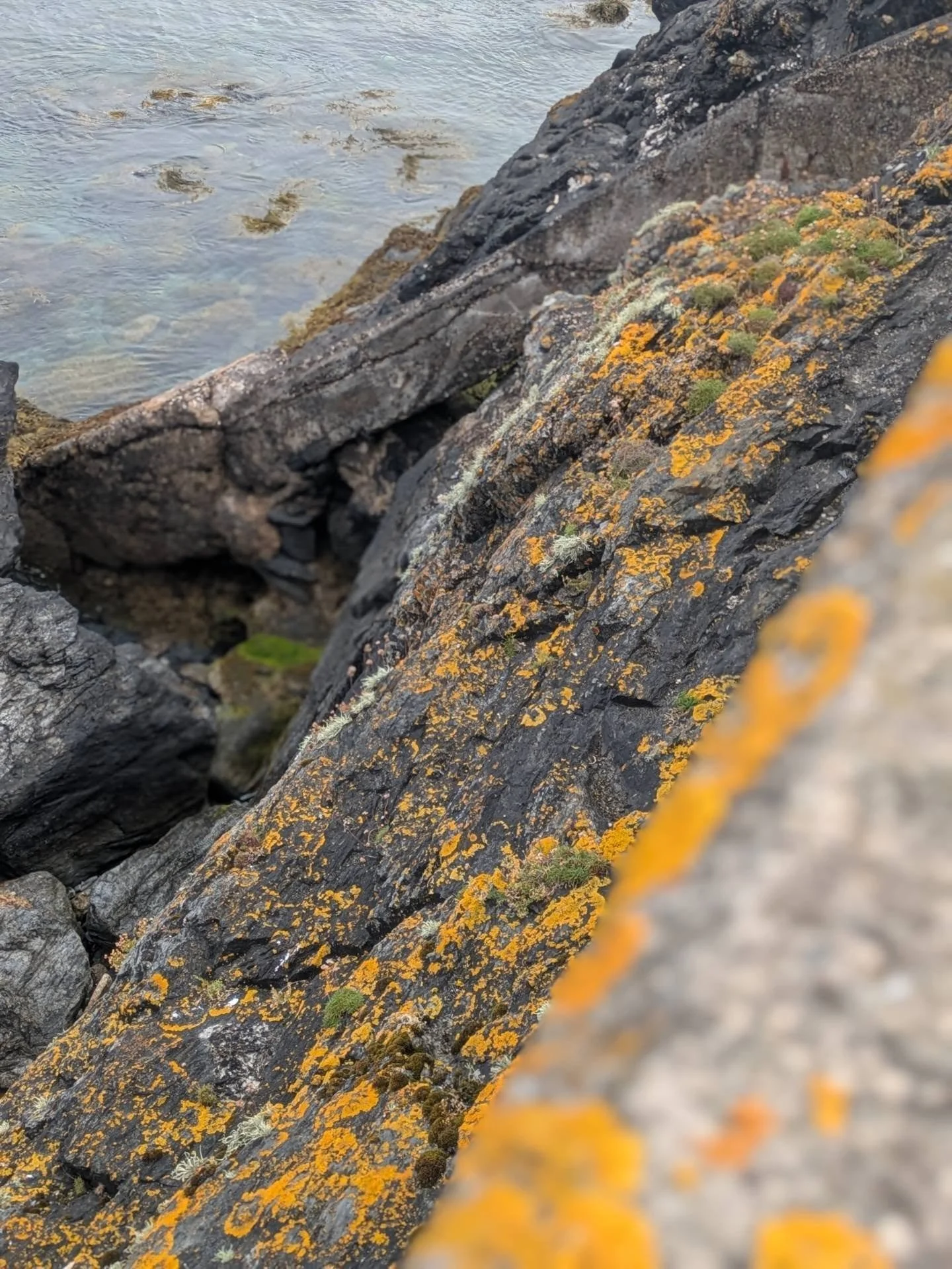Some inspiration of some 'alien' landscapes from our short holiday to stay with my bro in the Isle of Man. Some of the shapes and colours were too good to not take photos.

Too bad I didn't have a figure or two with me 😂

#toypic_community #toydiora