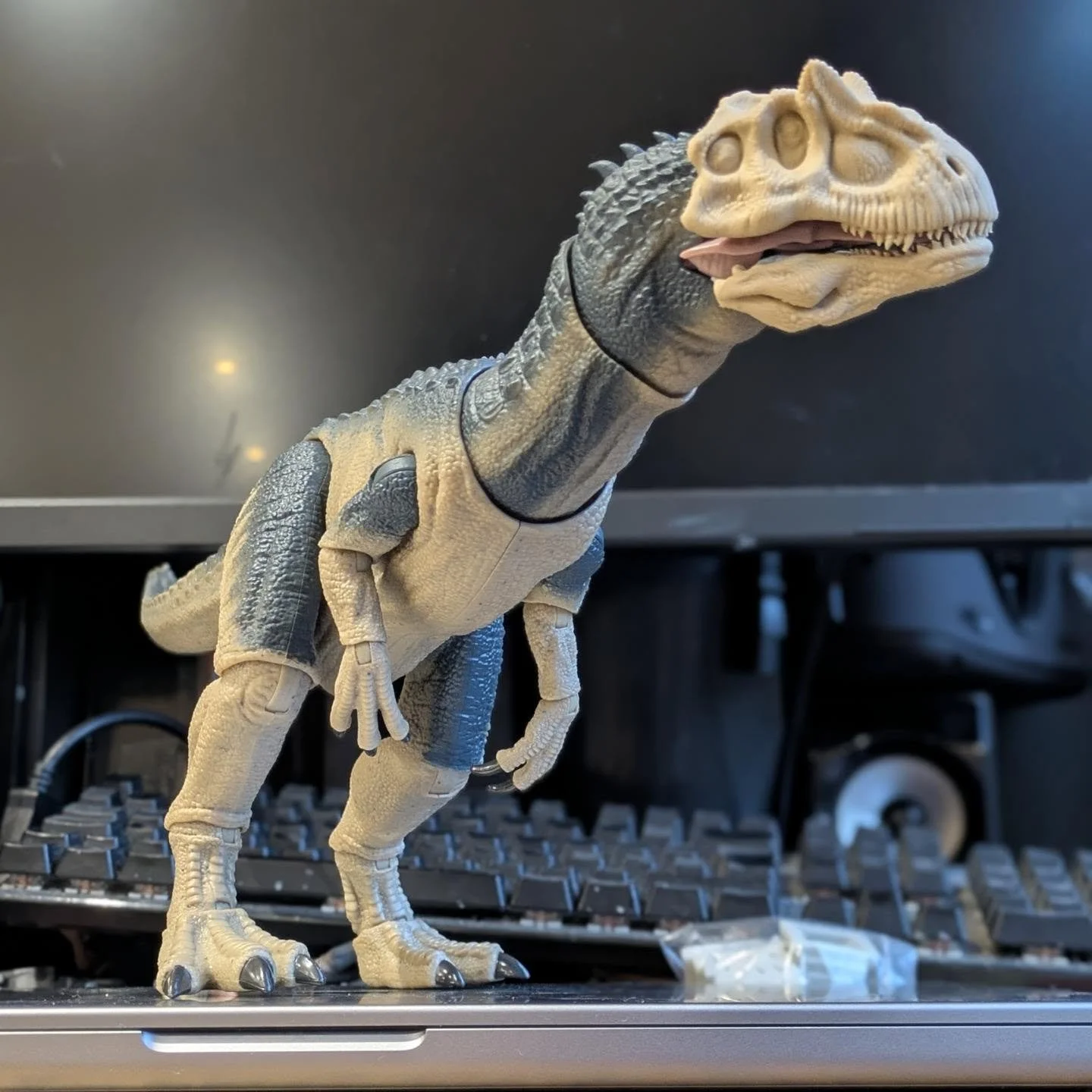 Big Al Hammond Collection Allosaurus conversion head. I always loved the show as a kid and I'm not a fan of the HC Allo head, and so here we are! 😂

This was the size test to place the holes in the top and bottom jaws so it slides into the existing 