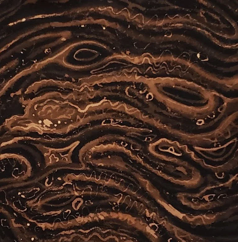 seeking asylum design.jpg