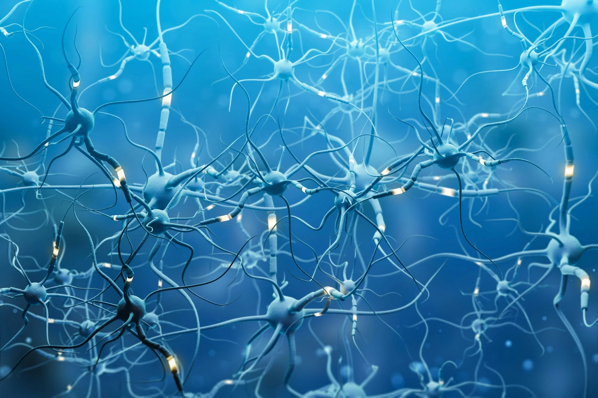 How my nervous system caused my divorce