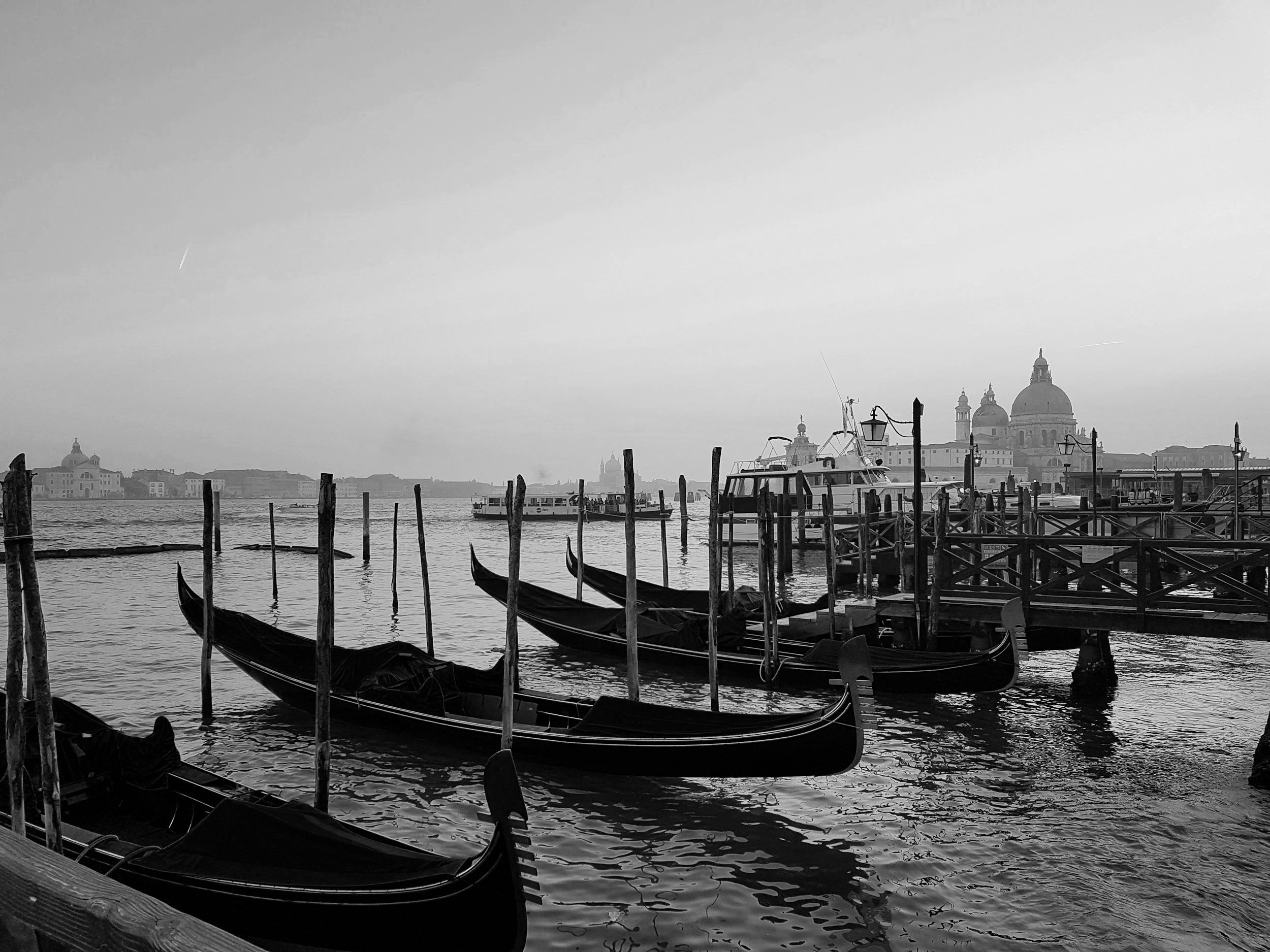 La Biennale di Venezia, Venice, Italy