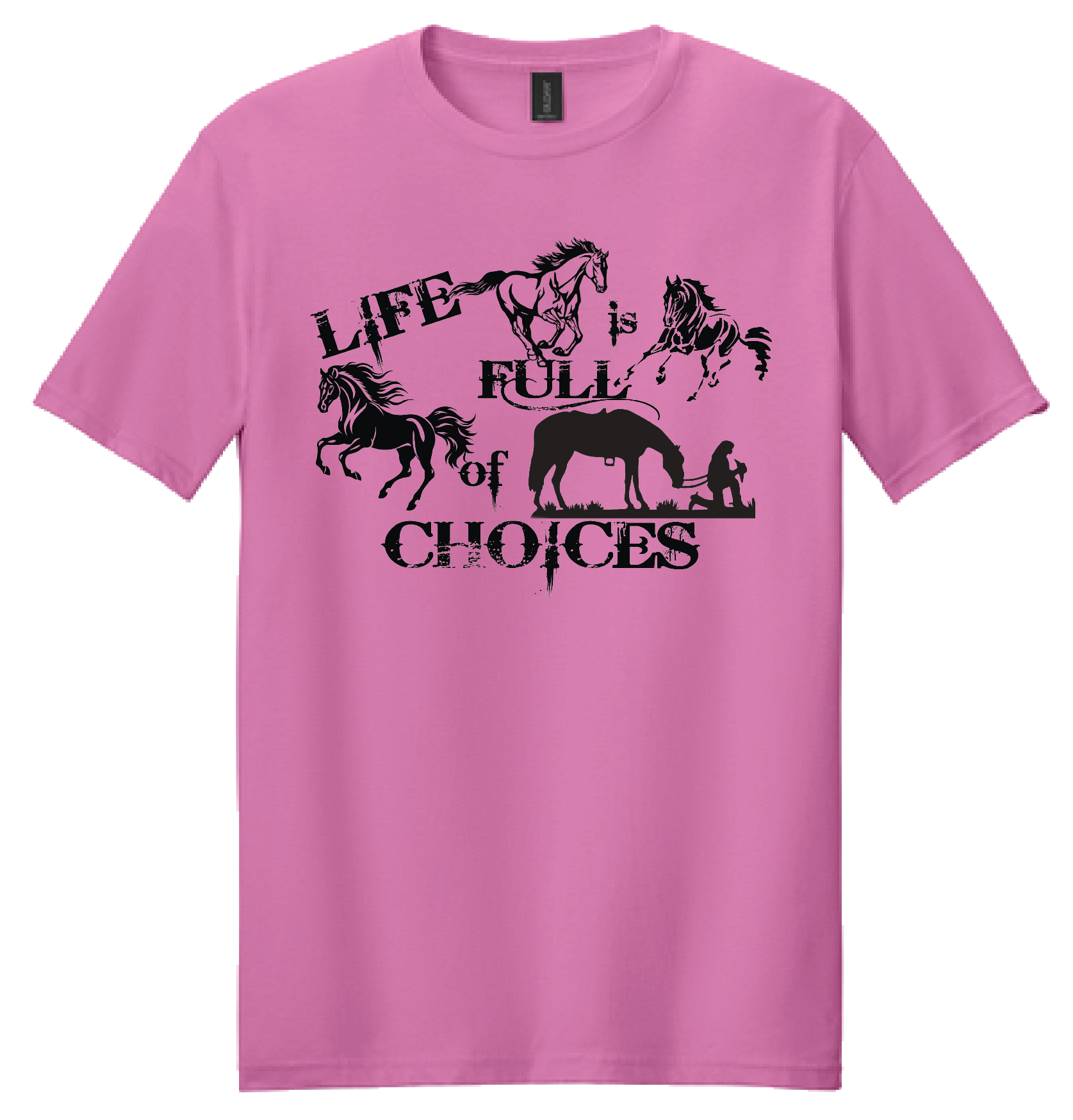 LIFE CHOICES HORSE or MULE