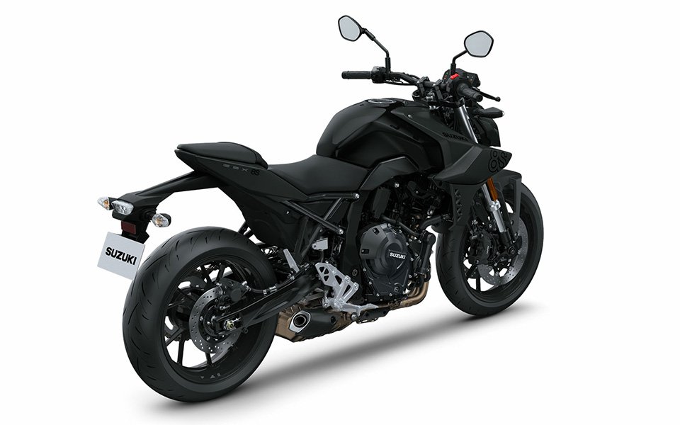 suzuki_gsx_8s_10.jpg