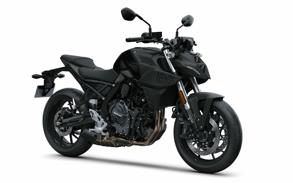 suzuki_gsx_8s_9.jpg