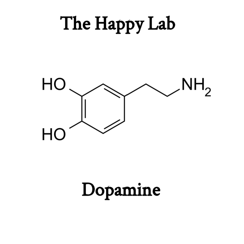 Dopamine.png