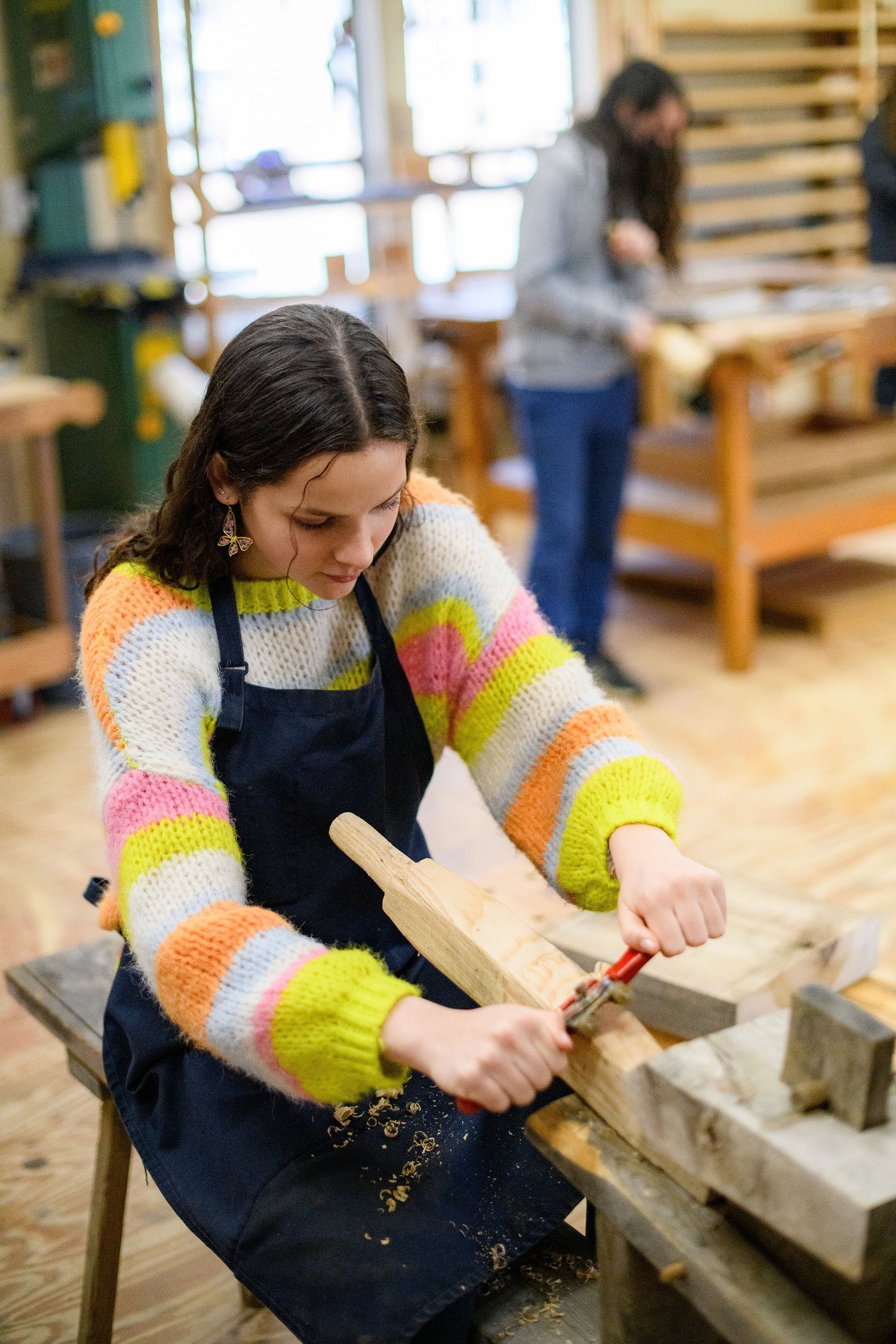 Emerson Waldorf School