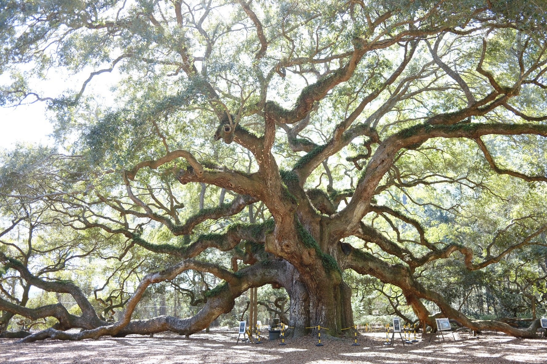 11th Grade Curriculum Trip