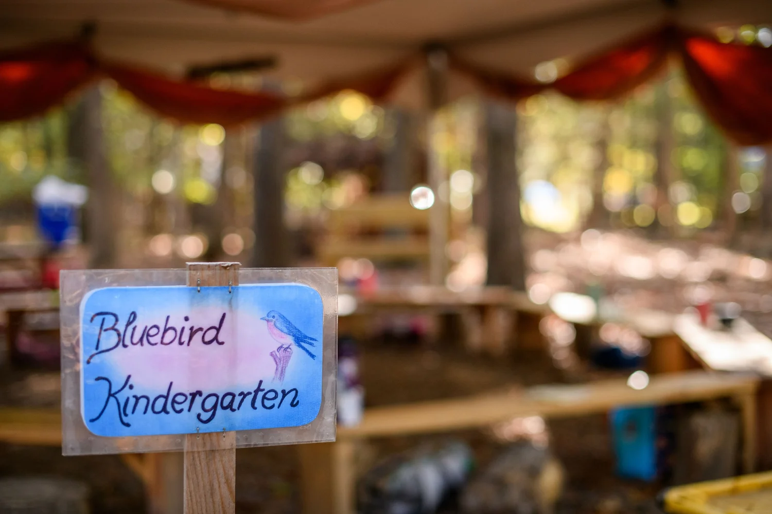 Emerson Waldorf School