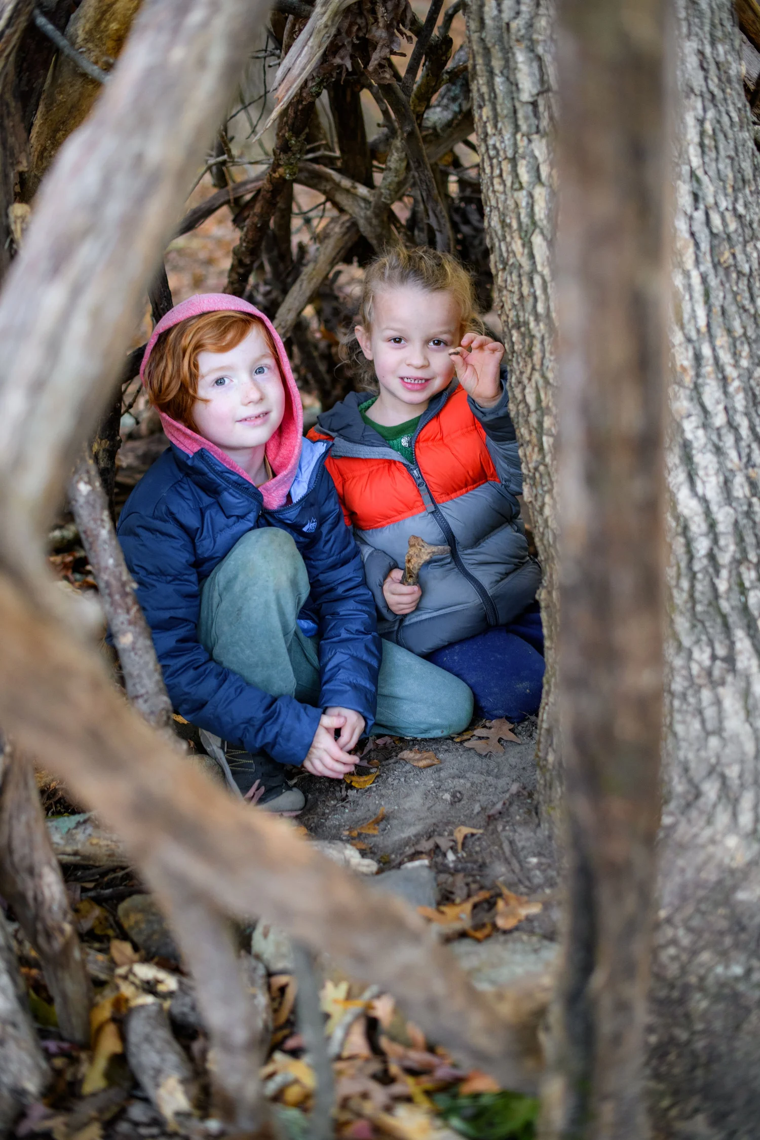 Emerson Waldorf School