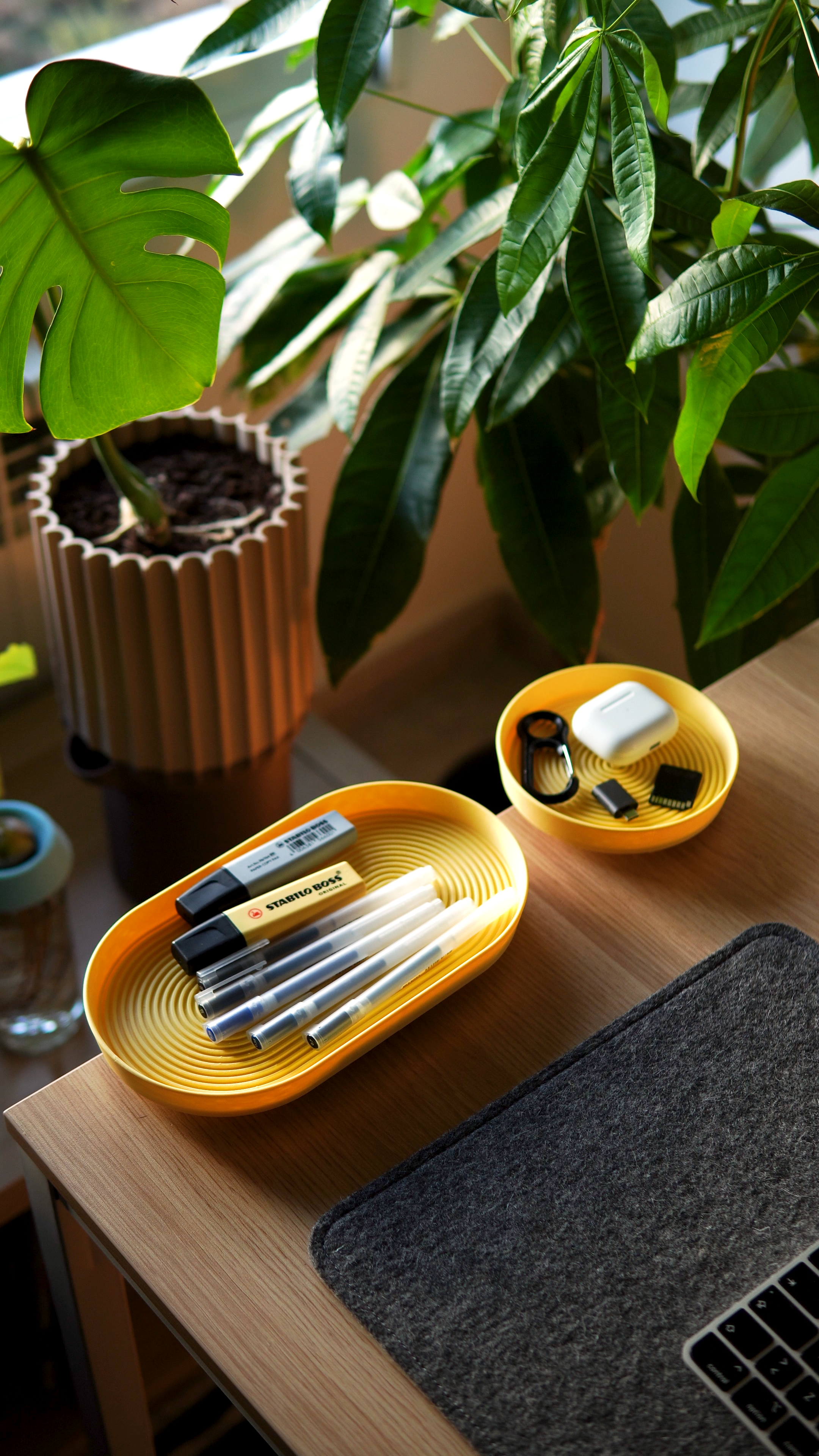 trays01.png