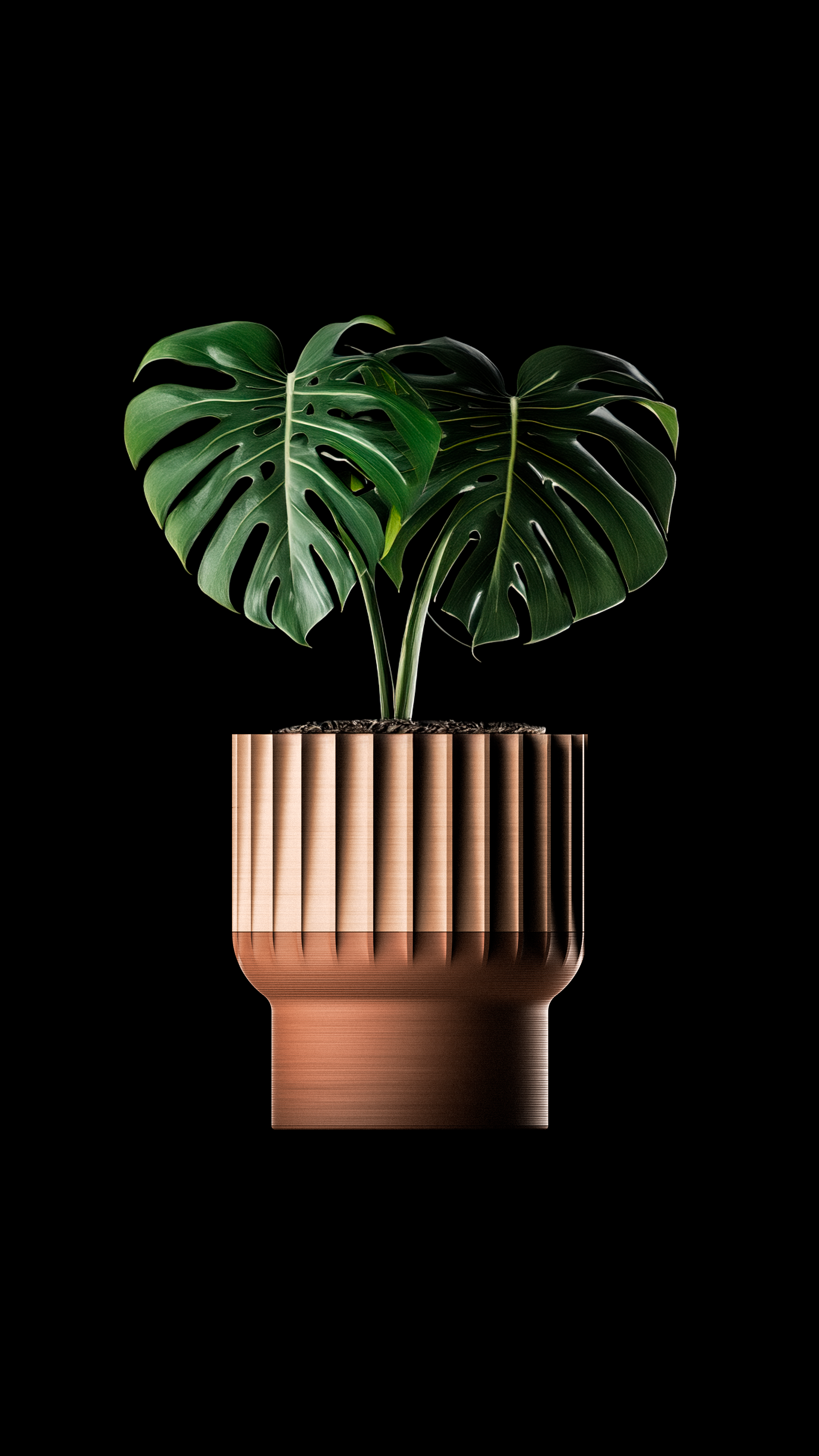 planter M2 - size L