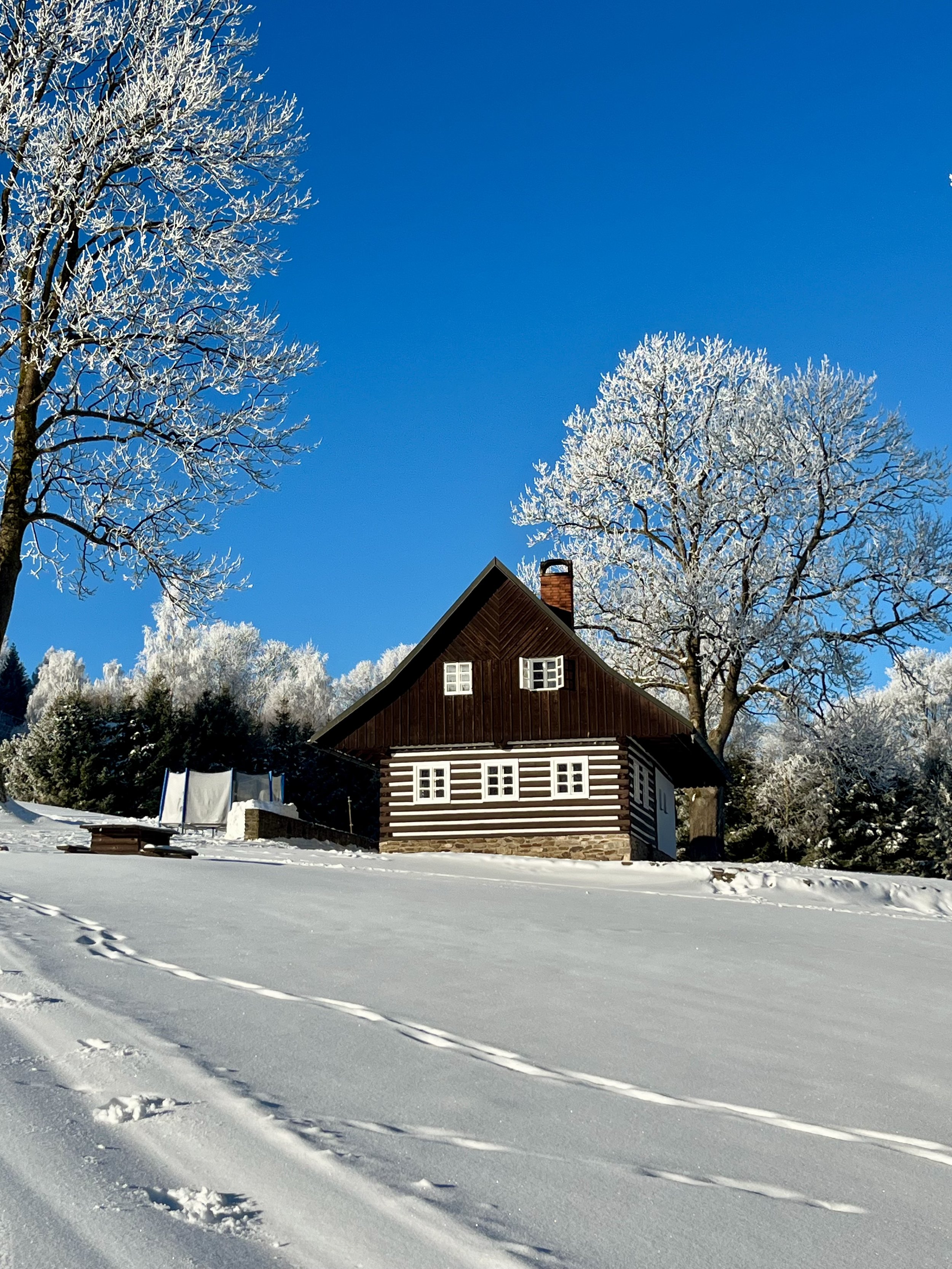 A log cabin with a steep roof surrounded by snow-covered trees and landscape under a bright blue sky.