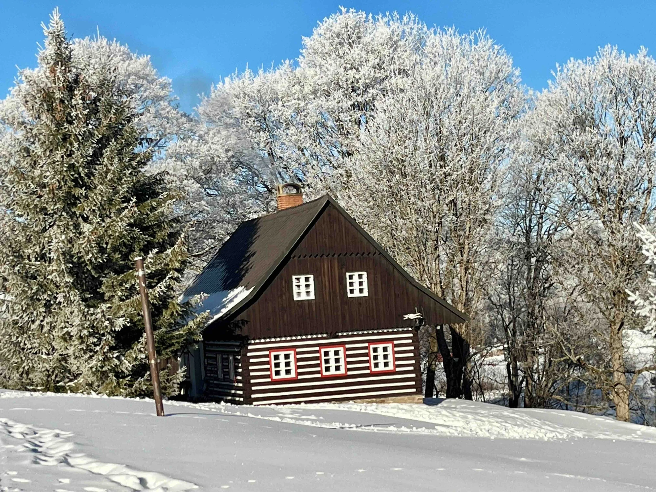 Snow-covered wooden house with red and white window frames, surrounded by snow and trees in winter.