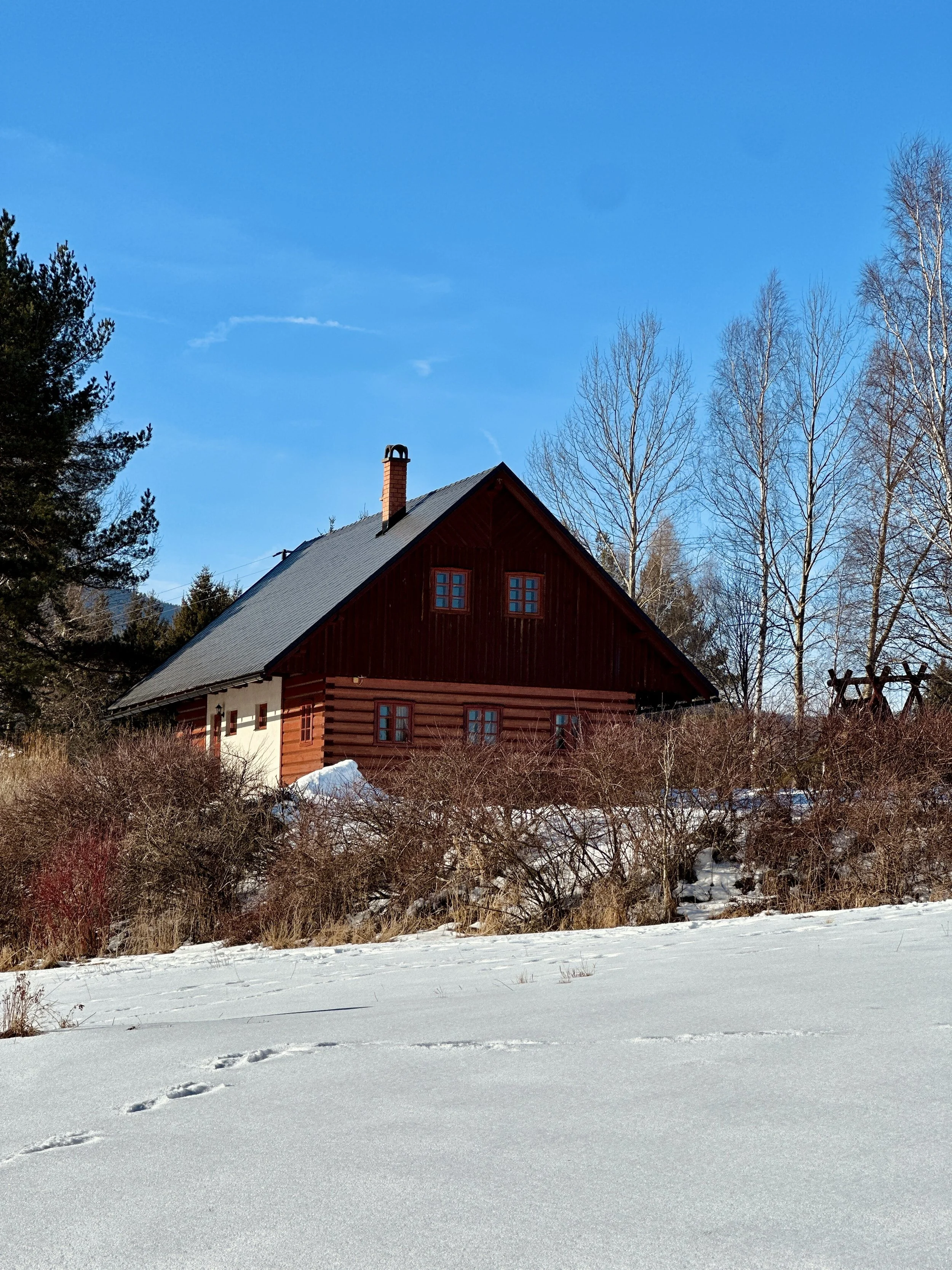 A rustic wooden house with a dark roof and small windows sits among leafless trees, surrounded by snow under a bright blue sky.
