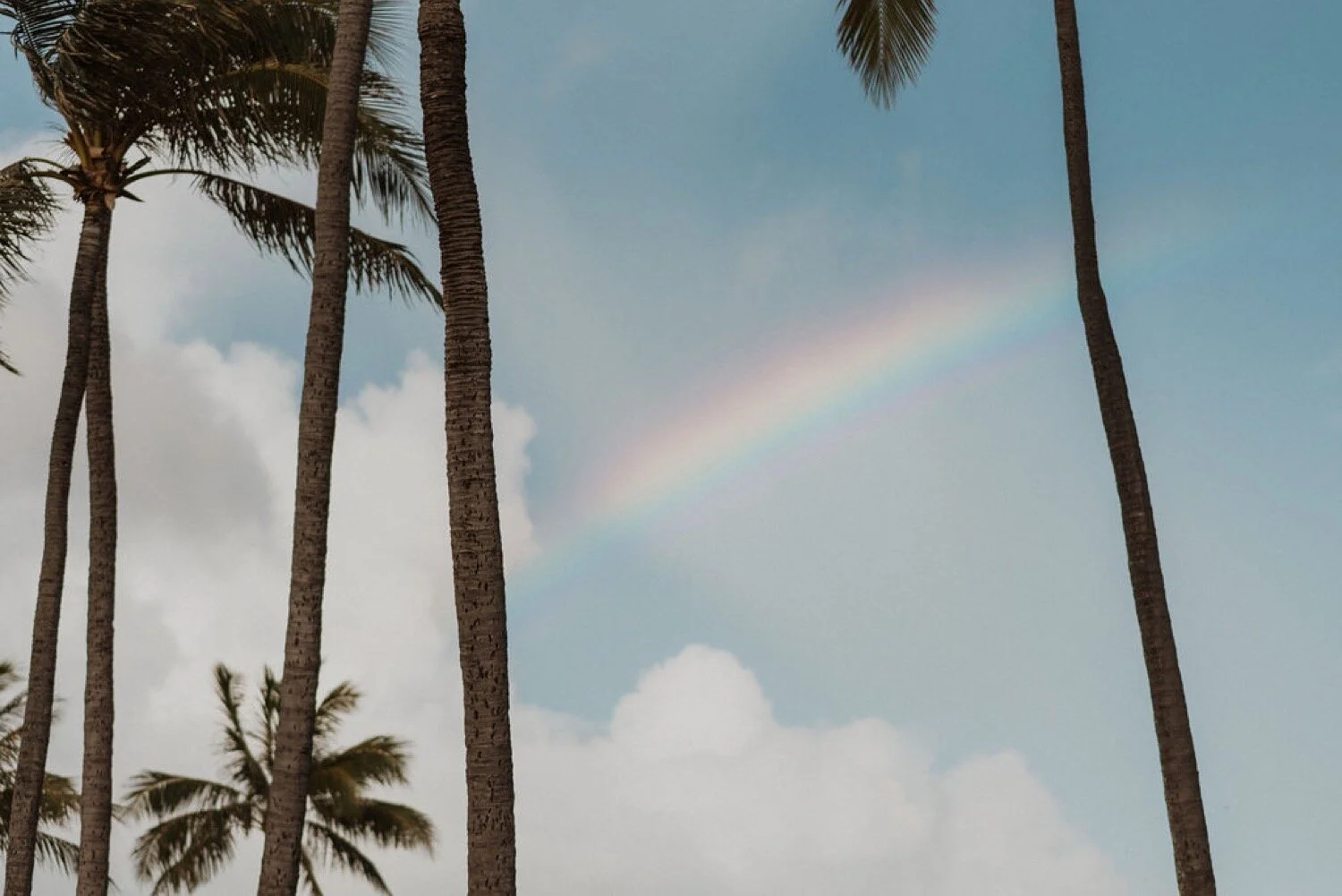ben-pomai-5108_￼￼￼￼￼intimate_Maunalua_bay_beach_wedding_1500.jpg