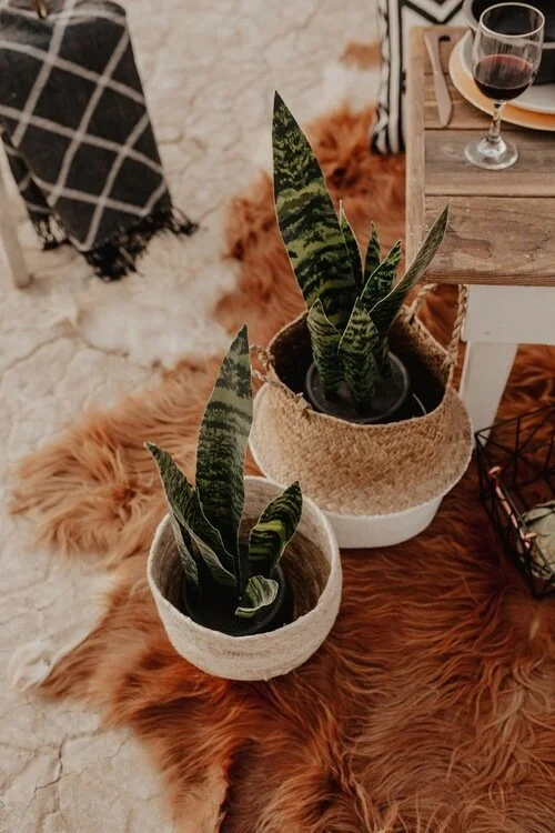 alvord_styled_shoot2018+(164+of+273)_oregon_elopement_alvord_desert_boho_500.jpg