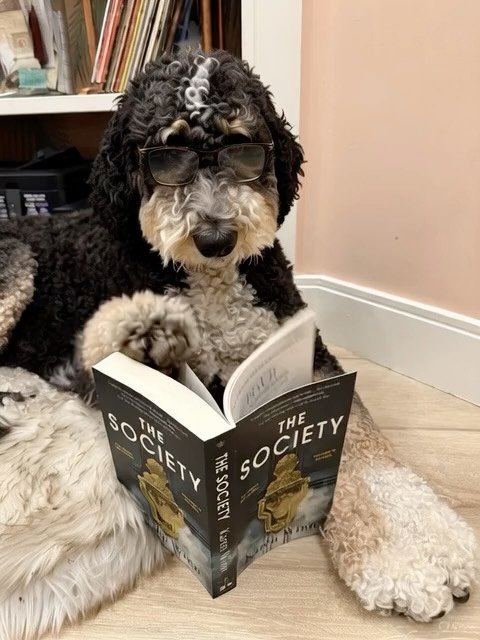 In case you&rsquo;re already getting sick of my face and promotional posts (I&rsquo;m coming at you hard leading up to book launch), here&rsquo;s a much cuter face to feast your eyes on 🐶🐶 (Video is Grok-generated but cuteness is original 😉)