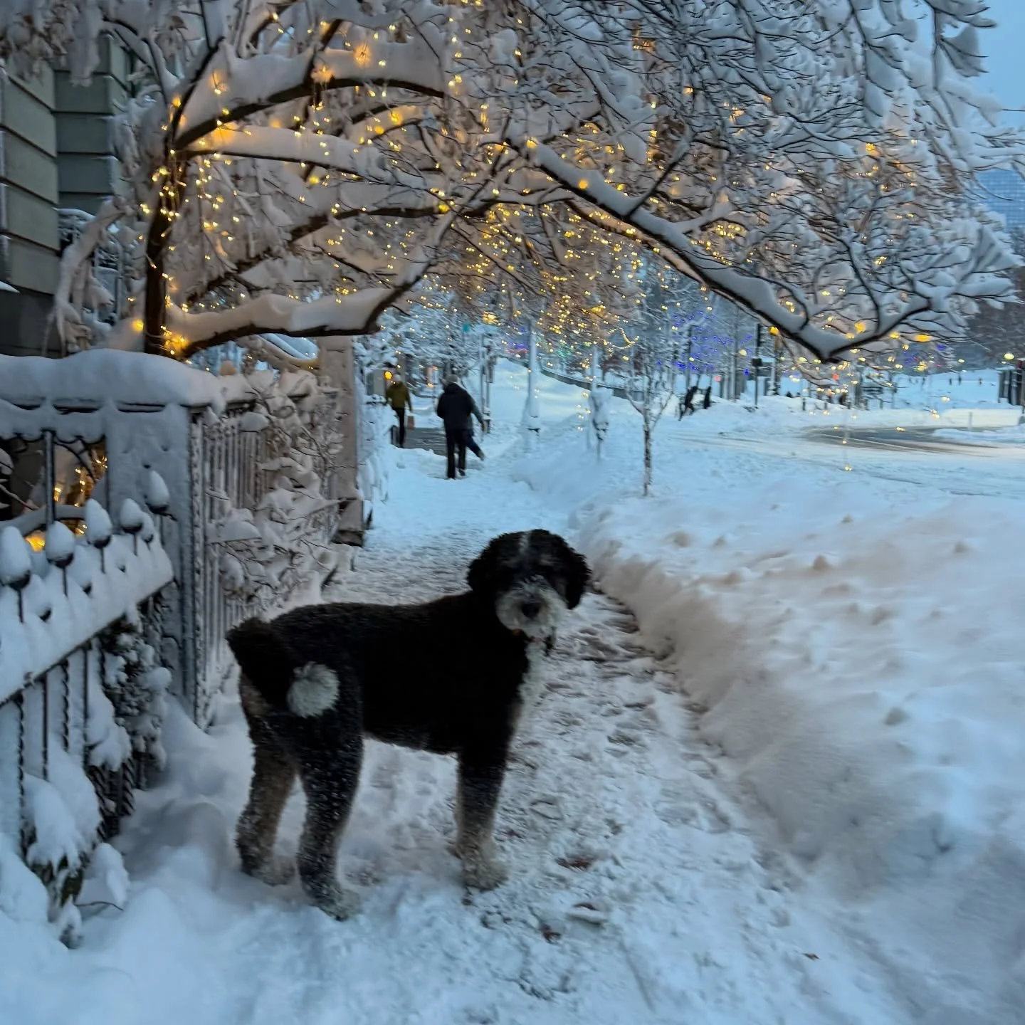 Mando&rsquo;s favorite type of weather ❄️❄️