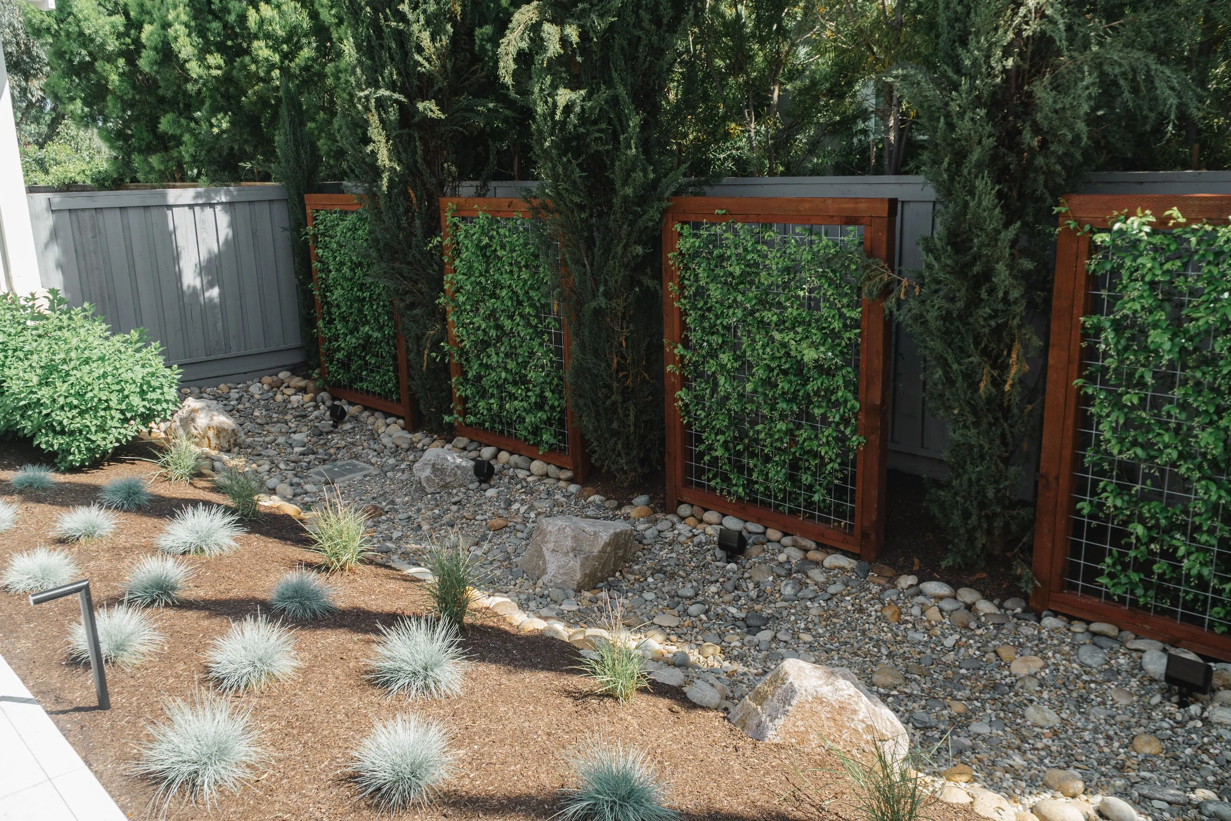 A landscaped backyard with a variety of plants, a gravel area with large rocks, and a gray fence with wooden trellises covered in ivy.