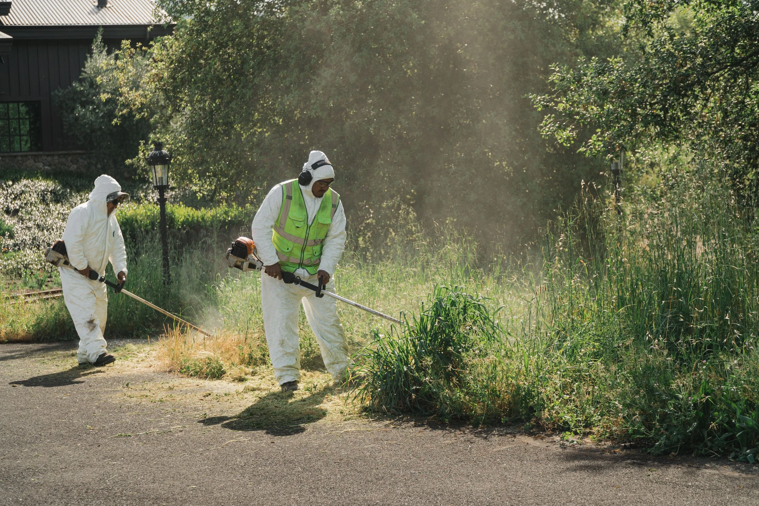 Two people dressed in white coveralls and protective gear using weed trimmers to clear overgrown grass and weeds outdoors near a residential area with trees and a house in the background.