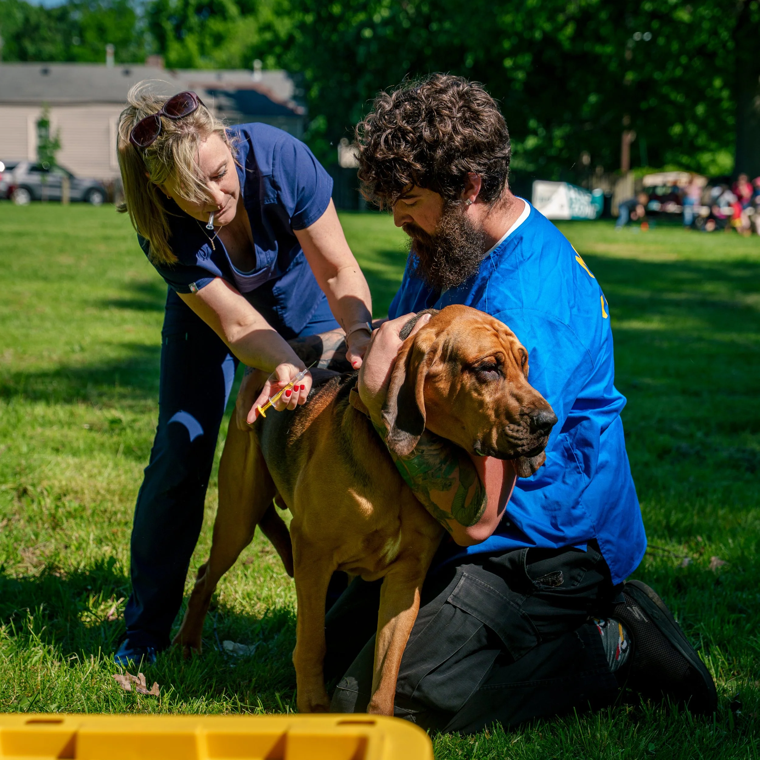 BOB Meriwether Fort Hill 6.jpg