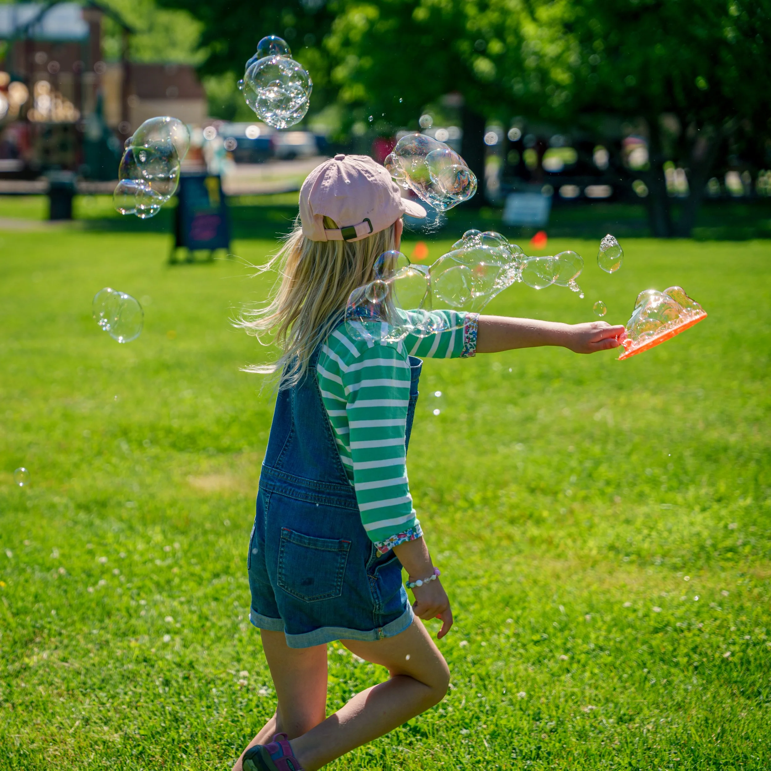 BOB Meriwether Fort Hill 15.jpg